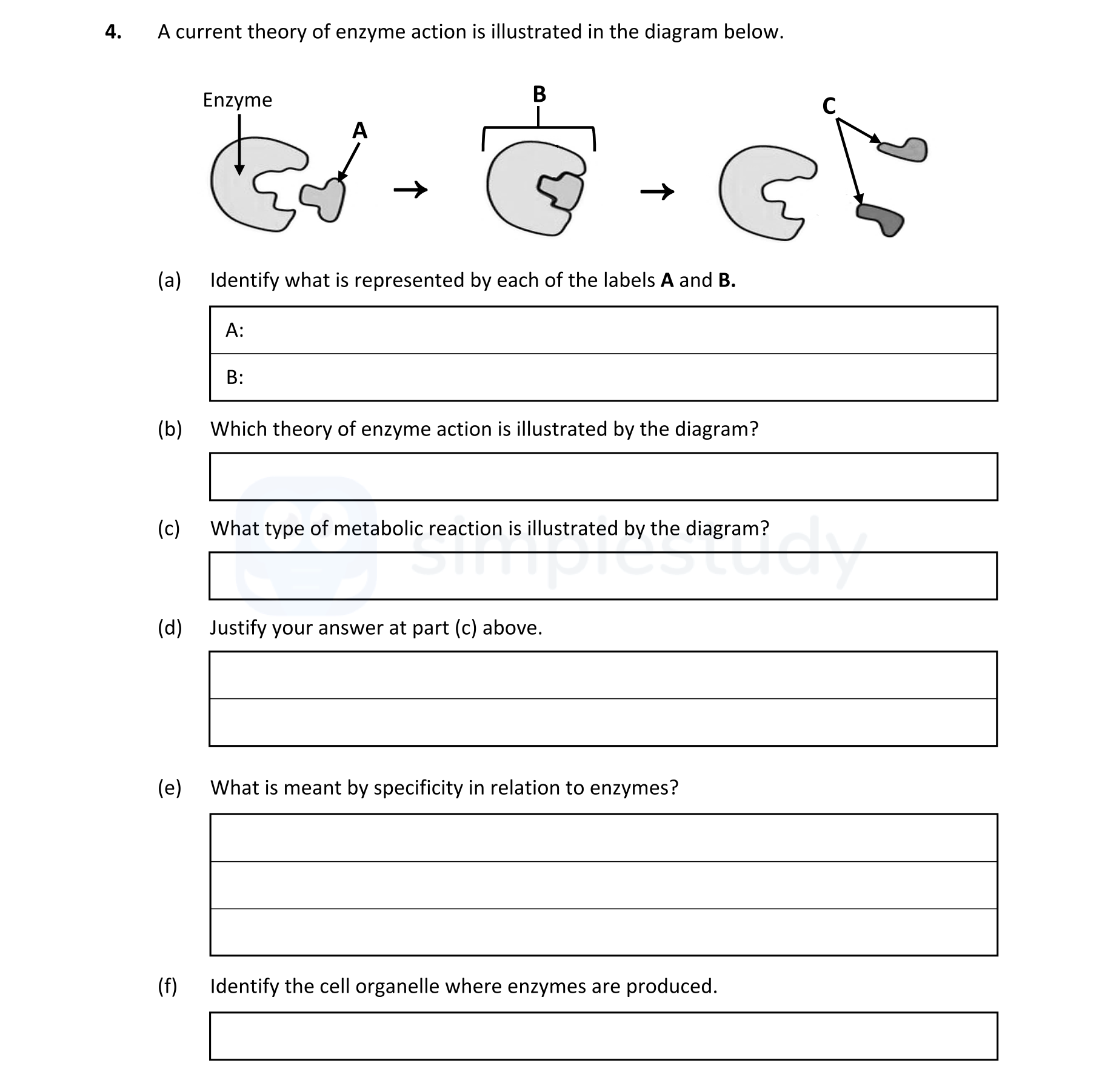 A-current-theory-of-enzyme-action-is-illustrated-in-the-diagram-below-Leaving Cert Biology-Question 4-2021.png