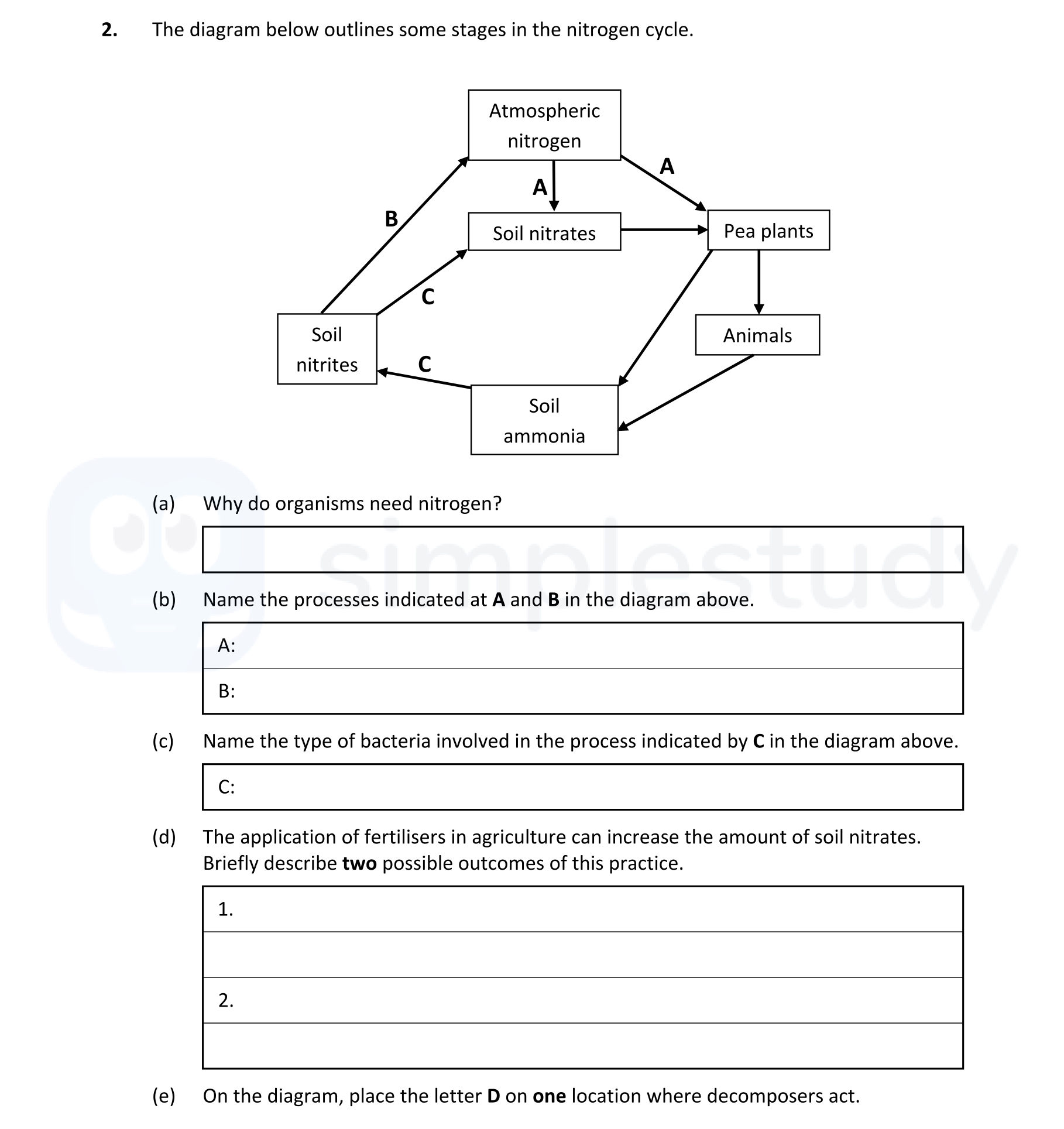 The-diagram-below-outlines-some-stages-in-the-nitrogen-cycle-Leaving Cert Biology-Question 2-2021.png