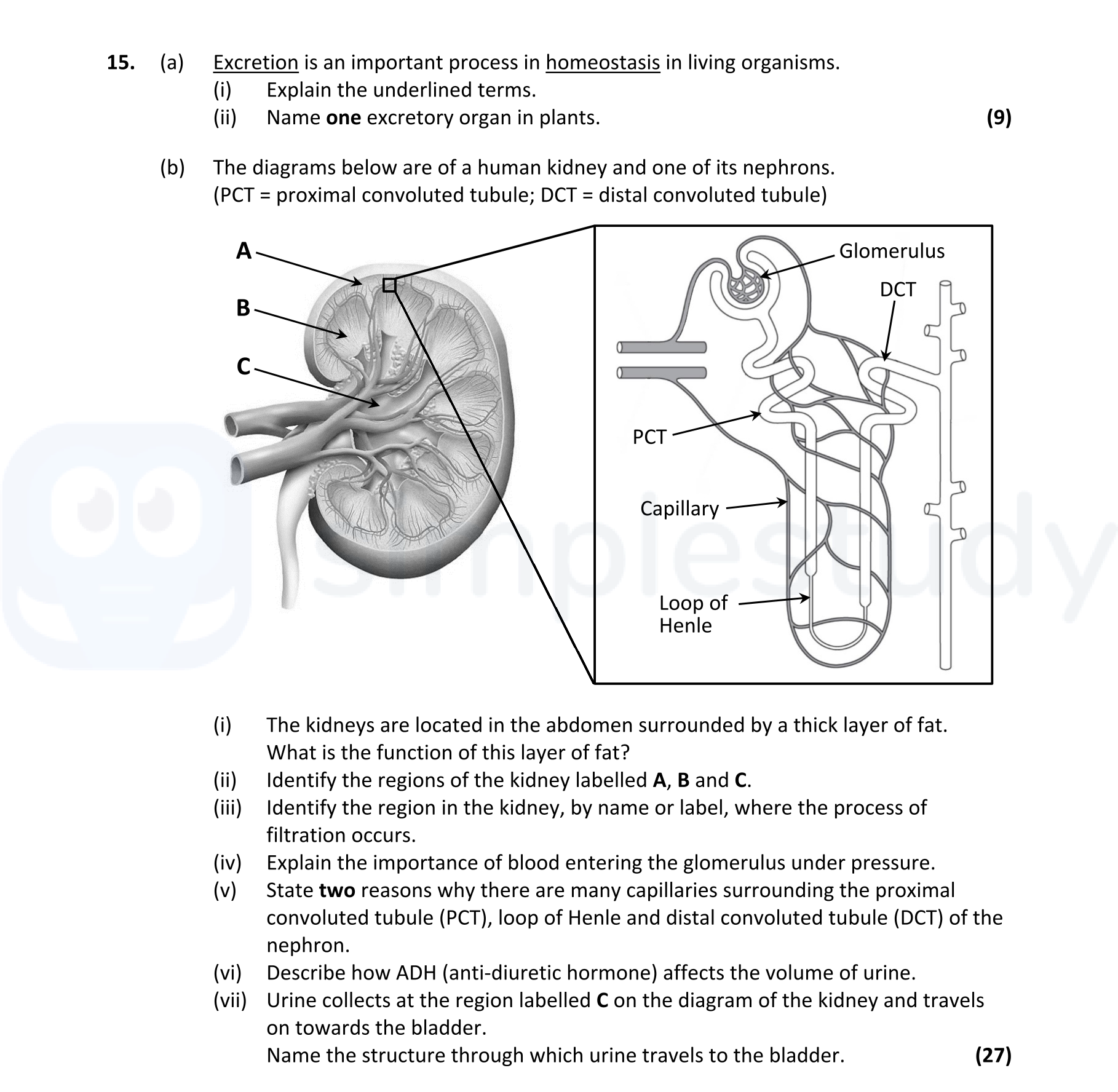 Excretion-is-an-important-process-in-homeostasis-in-living-organisms-Leaving Cert Biology-Question 15-2022.png