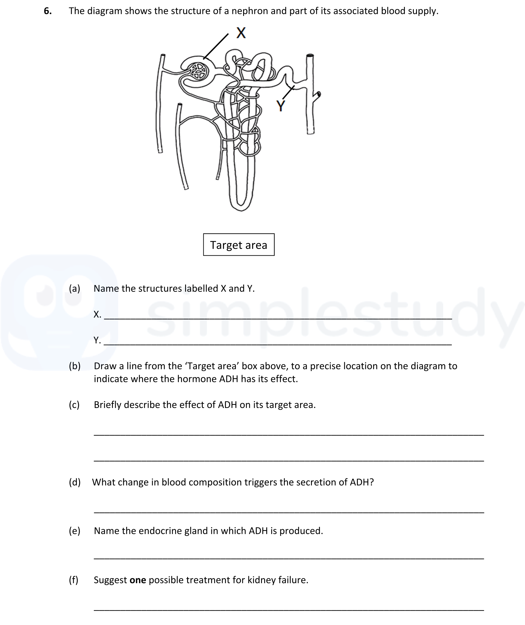The-diagram-shows-the-structure-of-a-nephron-and-part-of-its-associated-blood-supply-Leaving Cert Biology-Question 6-2018.png