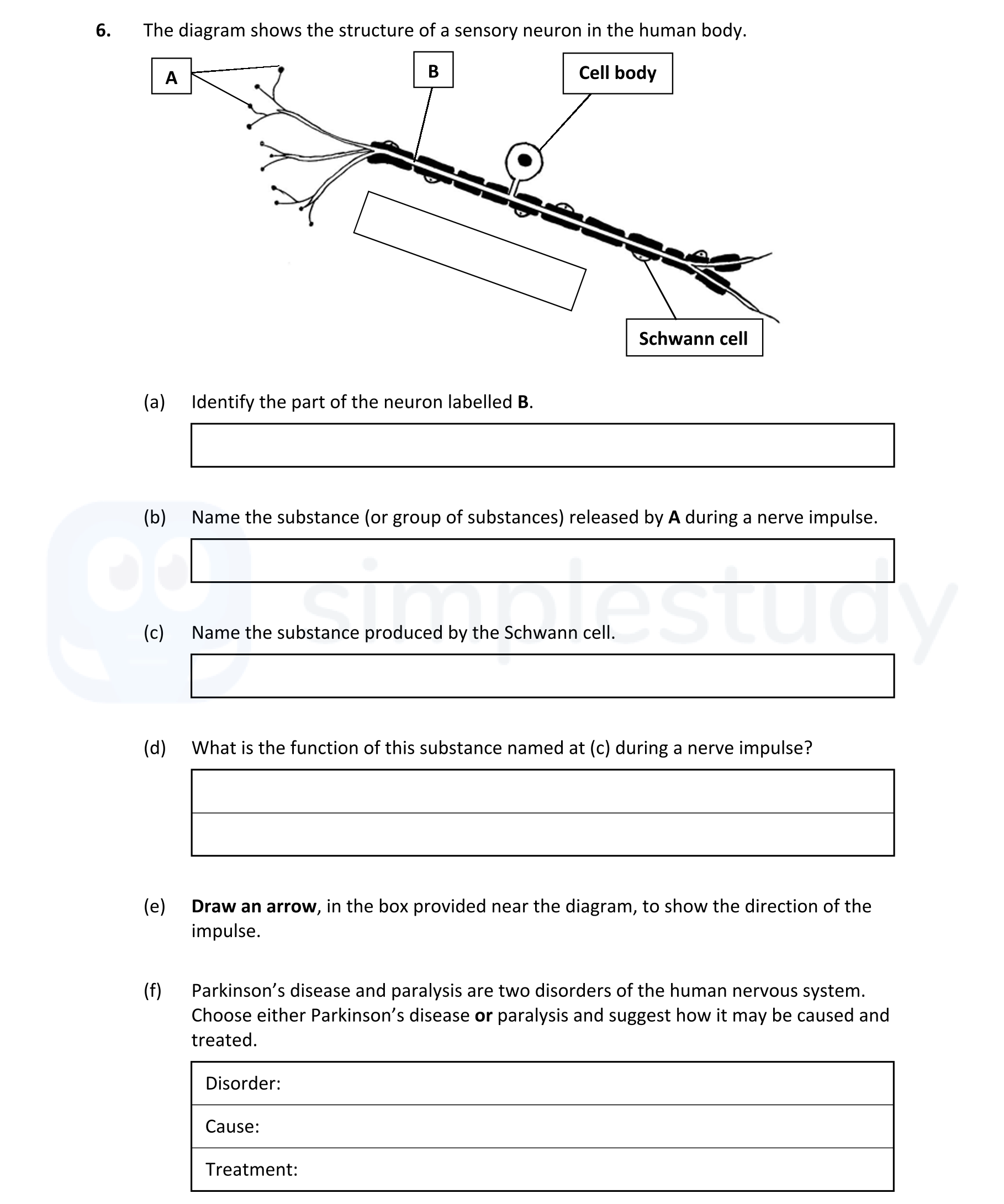 The-diagram-shows-the-structure-of-a-sensory-neuron-in-the-human-body-Leaving Cert Biology-Question 6-2020.png