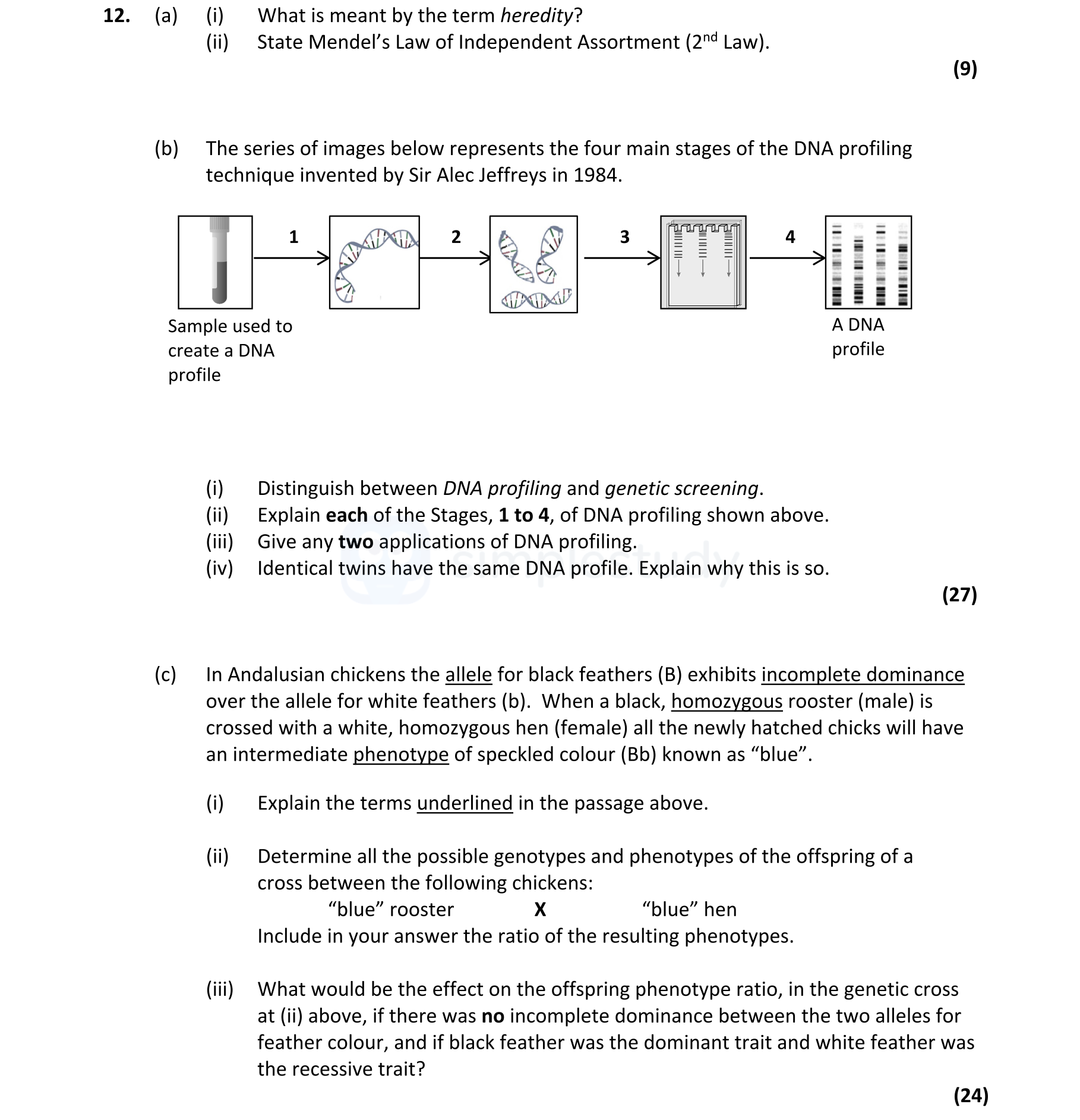 (a)-(i)-What-is-meant-by-the-term-heredity?--Passing-on-(or-transmission)-of-characteristics-(traits-or-genes)-from-one-generation-(or-cell)-to-the-next-Leaving Cert Biology-Question 12-2020.png