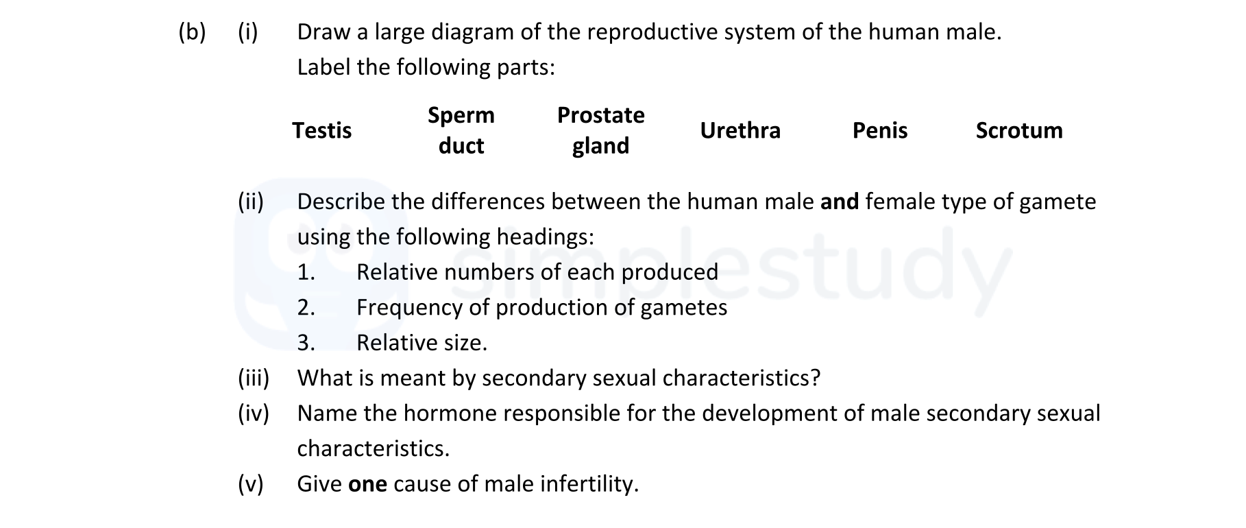 Draw-a-large-diagram-of-the-reproductive-system-of-the-human-male-Leaving Cert Biology-Question 16(b)-2021.png