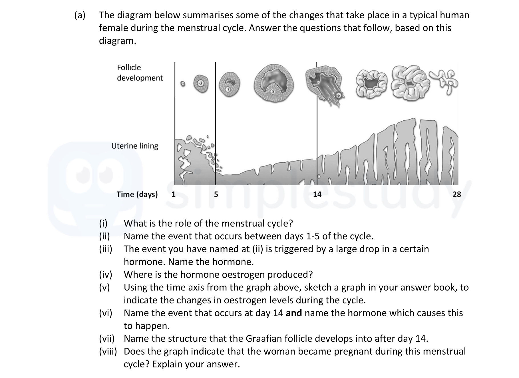 The-diagram-below-summarises-some-of-the-changes-that-take-place-in-a-typical-human-female-during-the-menstrual-cycle-Leaving Cert Biology-Question 14-2020.png