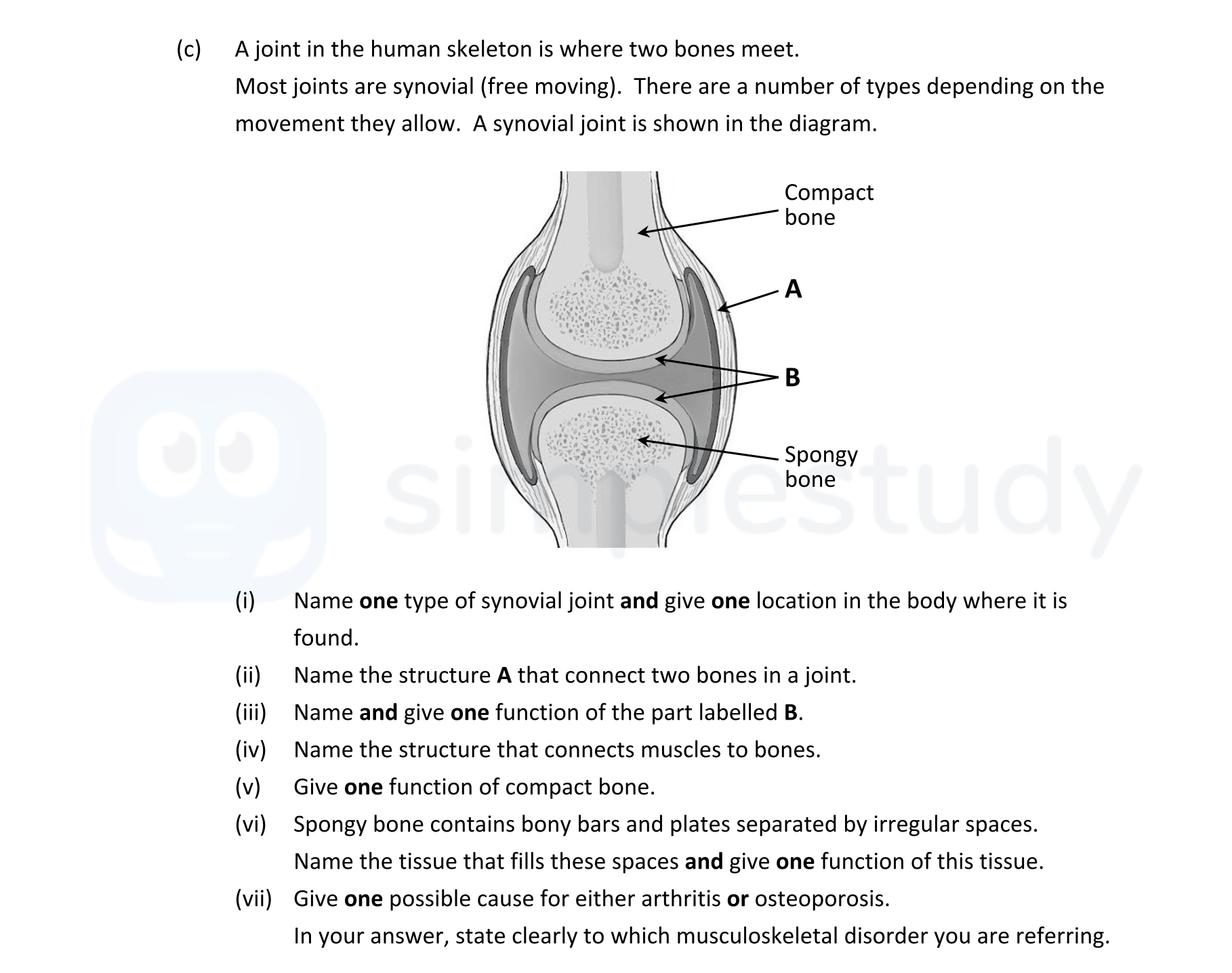 Name-one-type-of-synovial-joint-and-give-one-location-in-the-body-where-it-is-found-Leaving Cert Biology-Question 16 (c)-2022.png