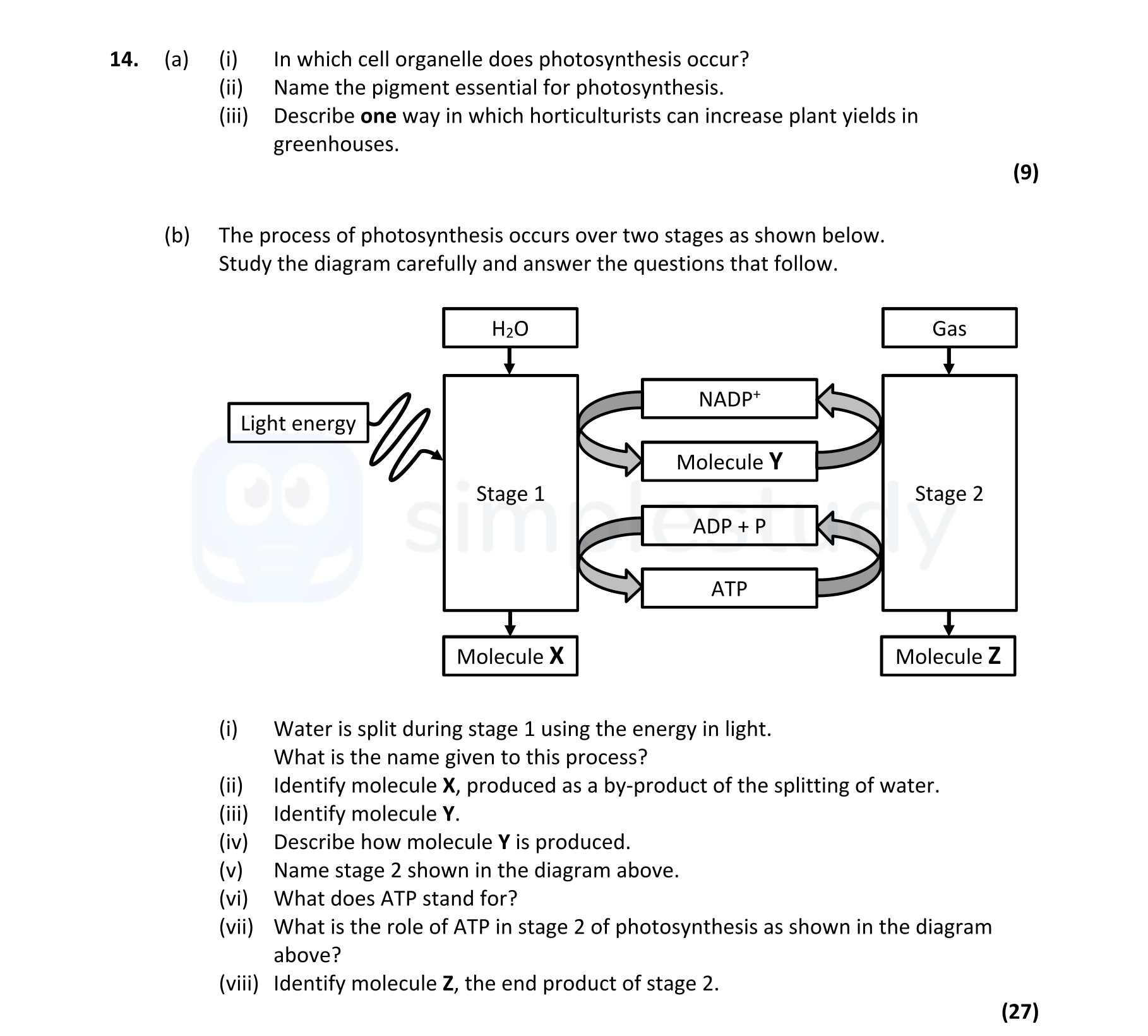 14.-(a)-(i)-In-which-cell-organelle-does-photosynthesis-occur?-(ii)-Name-the-pigment-essential-for-photosynthesis-Leaving Cert Biology-Question 14-2022.png
