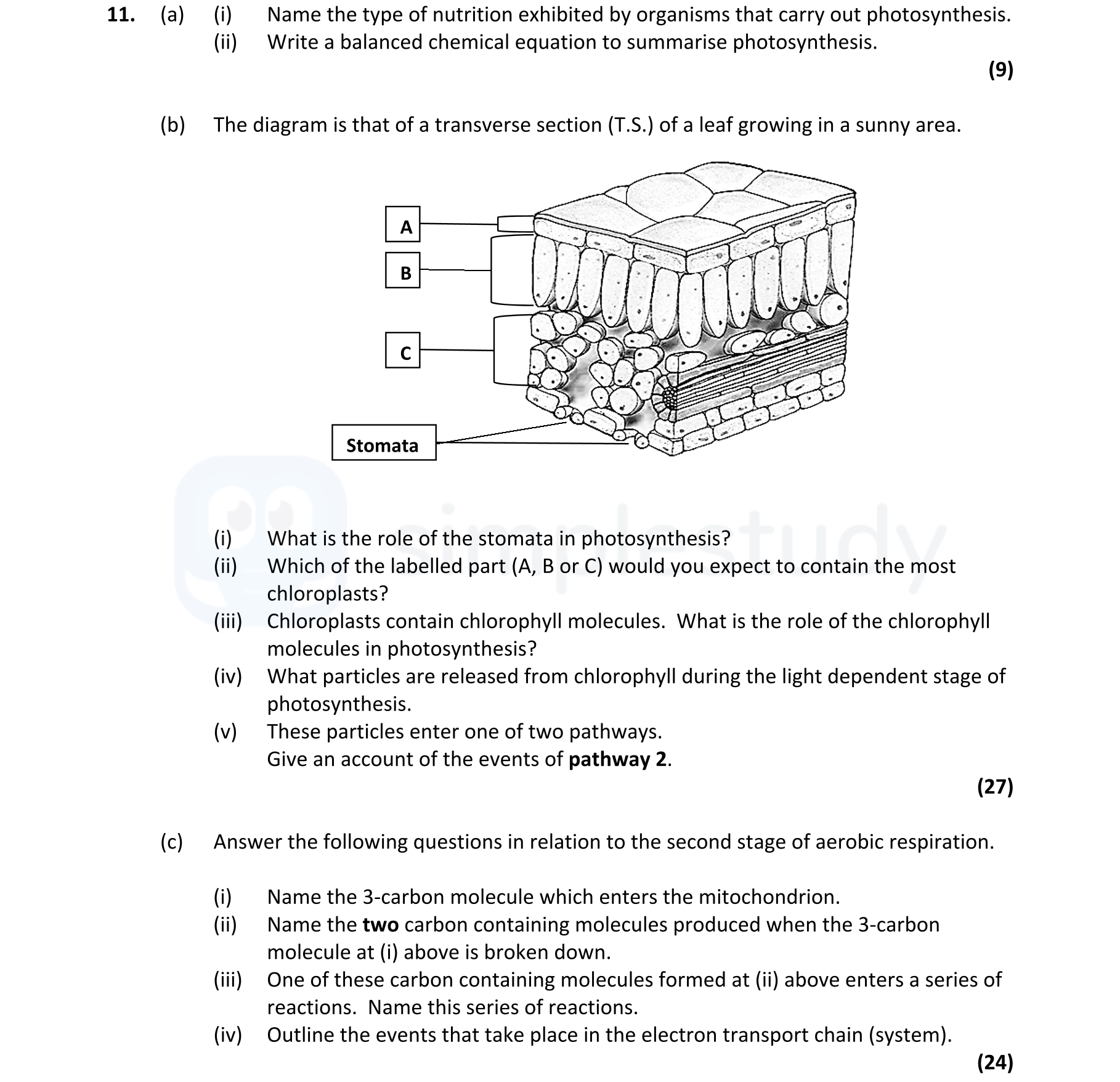 (a)-Name-the-type-of-nutrition-exhibited-by-organisms-that-carry-out-photosynthesis-Leaving Cert Biology-Question 11-2020.png