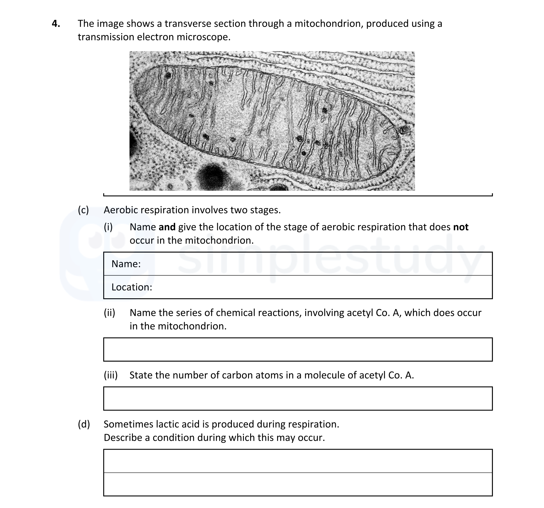 The-image-shows-a-transverse-section-through-a-mitochondrion,-produced-using-a-transmission-electron-microscope-Leaving Cert Biology-Question 4-2022.png