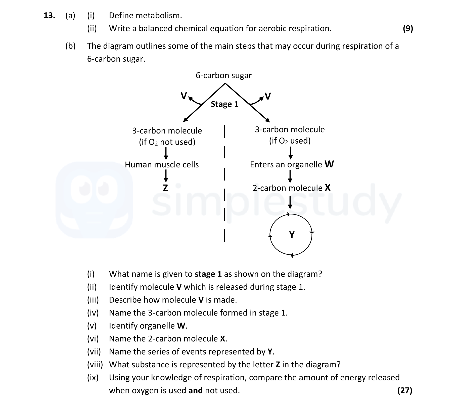 a)-(i)-Define-metabolism-Leaving Cert Biology-Question 13-2021.png