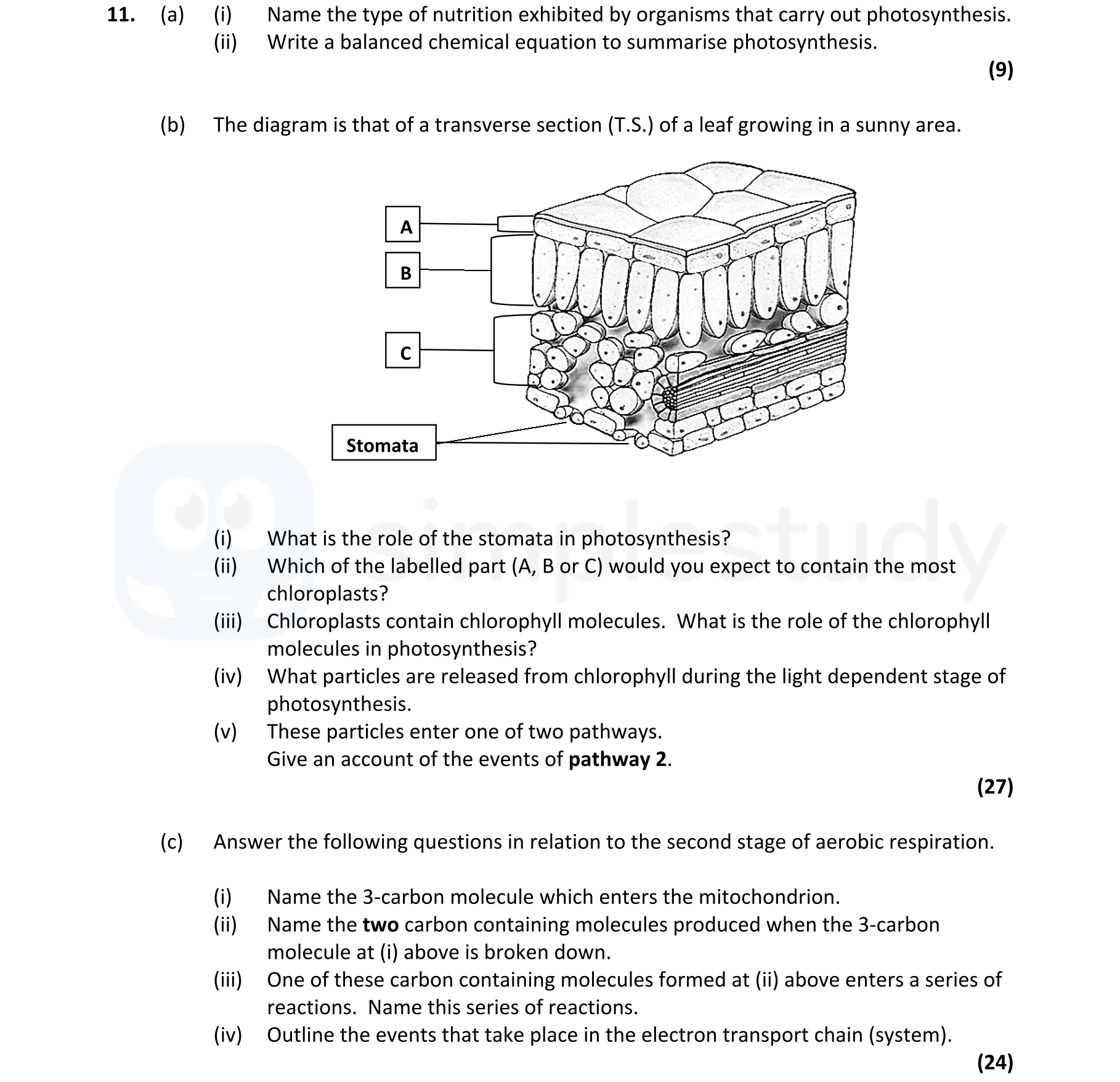 11.-(a)-(i)-Name-the-type-of-nutrition-exhibited-by-organisms-that-carry-out-photosynthesis-Leaving Cert Biology-Question 11-2020.png