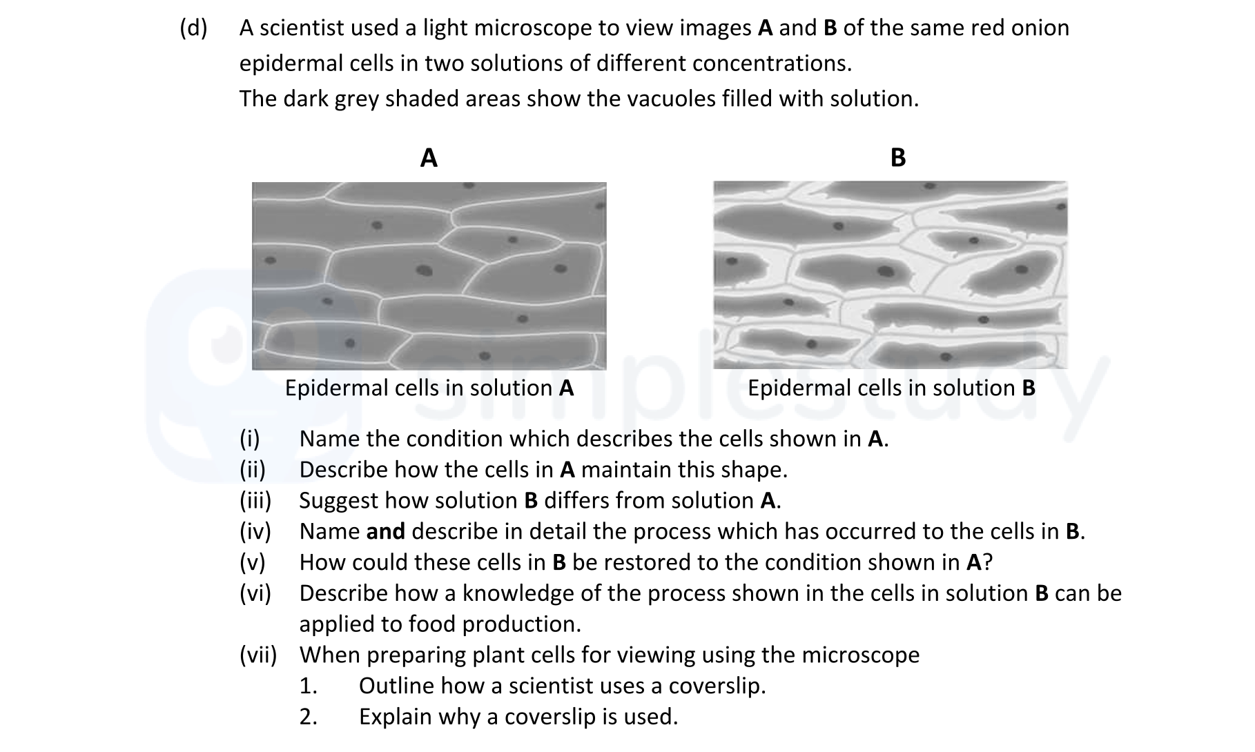 A-scientist-used-a-light-microscope-to-view-images-A-and-B-of-the-same-red-onion-epidermal-cells-in-two-solutions-of-different-concentrations-Leaving Cert Biology-Question d-2021.png