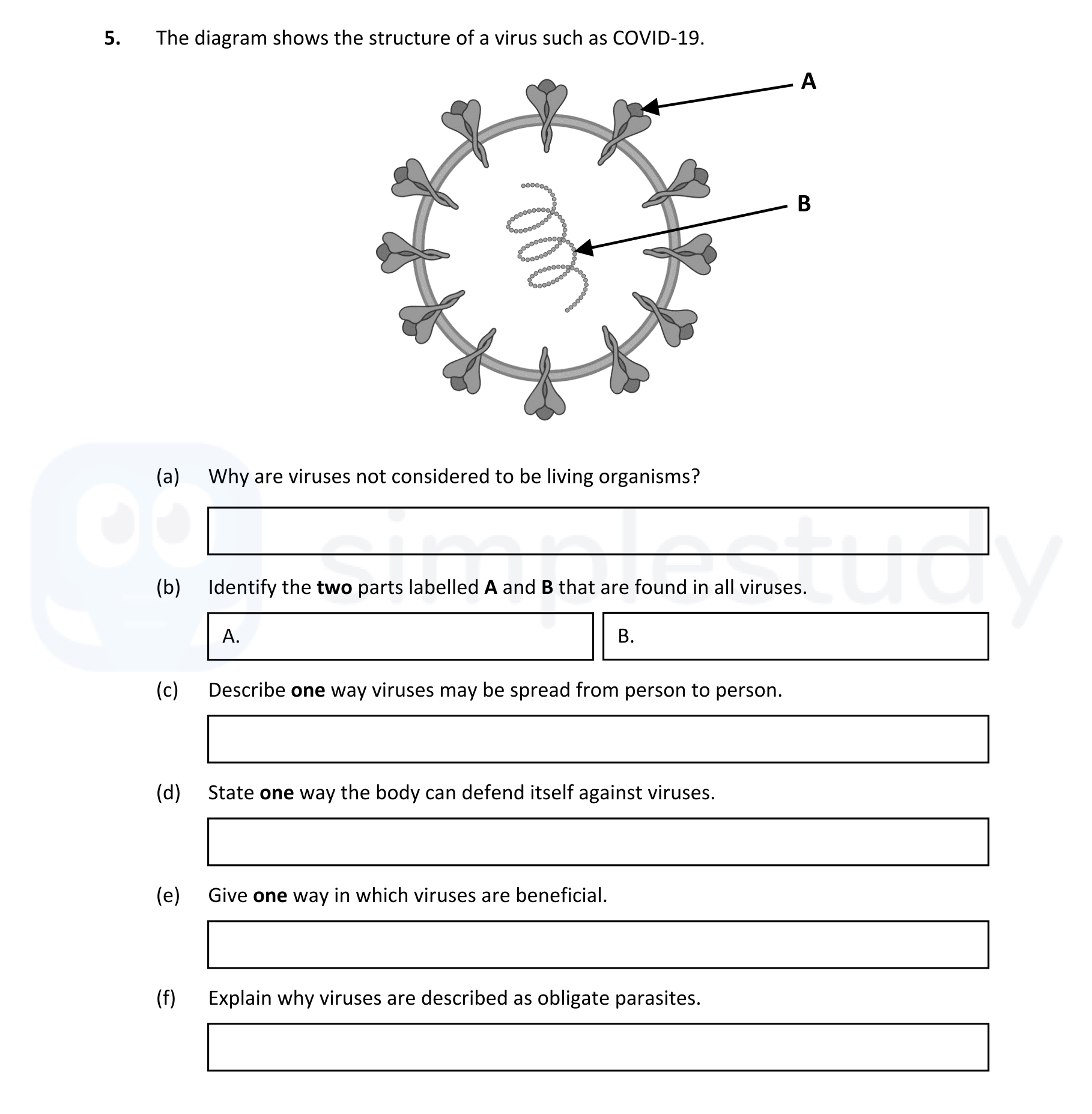 The-diagram-shows-the-structure-of-a-virus-such-as-COVID-19-Leaving Cert Biology-Question 5-2021.png
