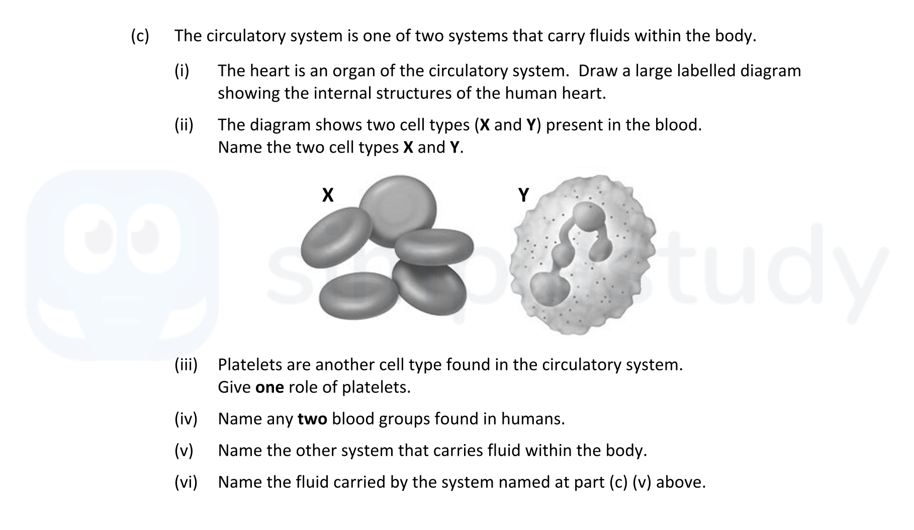 The-circulatory-system-is-one-of-two-systems-that-carry-fluids-within-the-body-Leaving Cert Biology-Question 17(c)-2022.png
