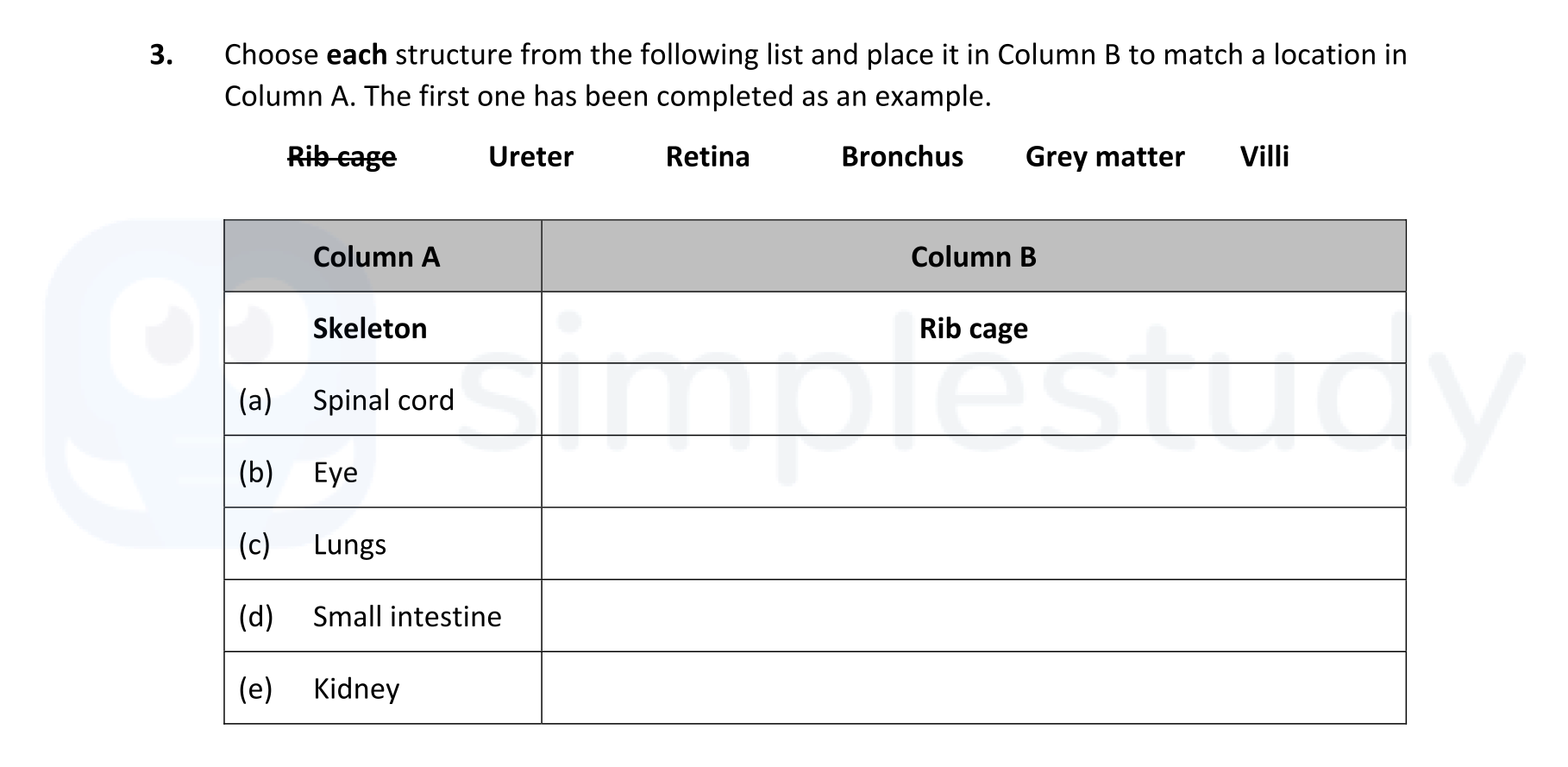 Choose-each-structure-from-the-following-list-and-place-it-in-Column-B-to-match-a-location-in-Column-A-Leaving Cert Biology-Question 3-2021.png