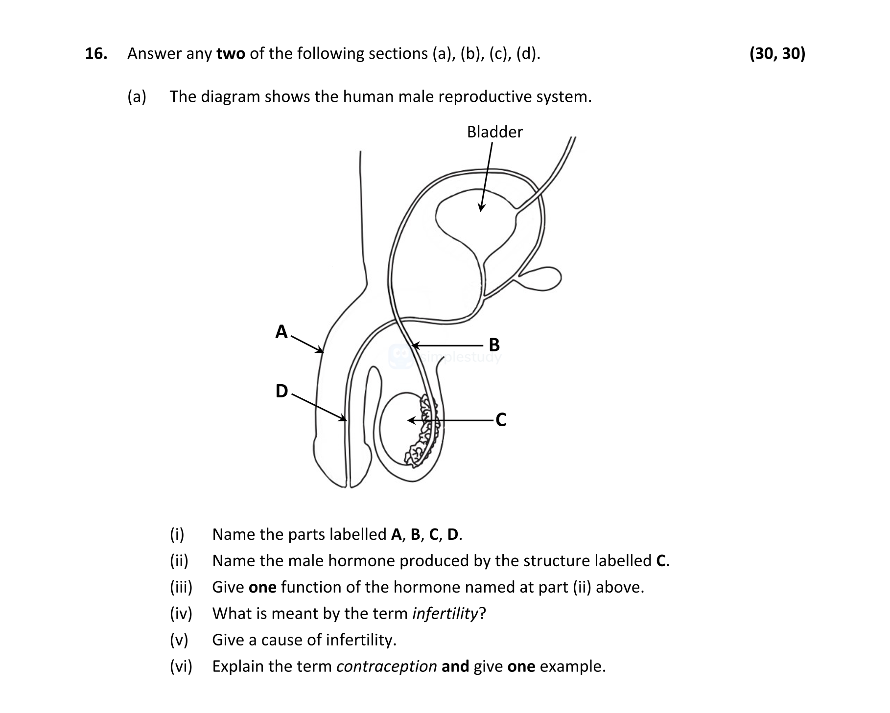 Answer-any-two-of-the-following-sections-(a),-(b),-(c),-(d)-Leaving Cert Biology-Question 16-2022.png