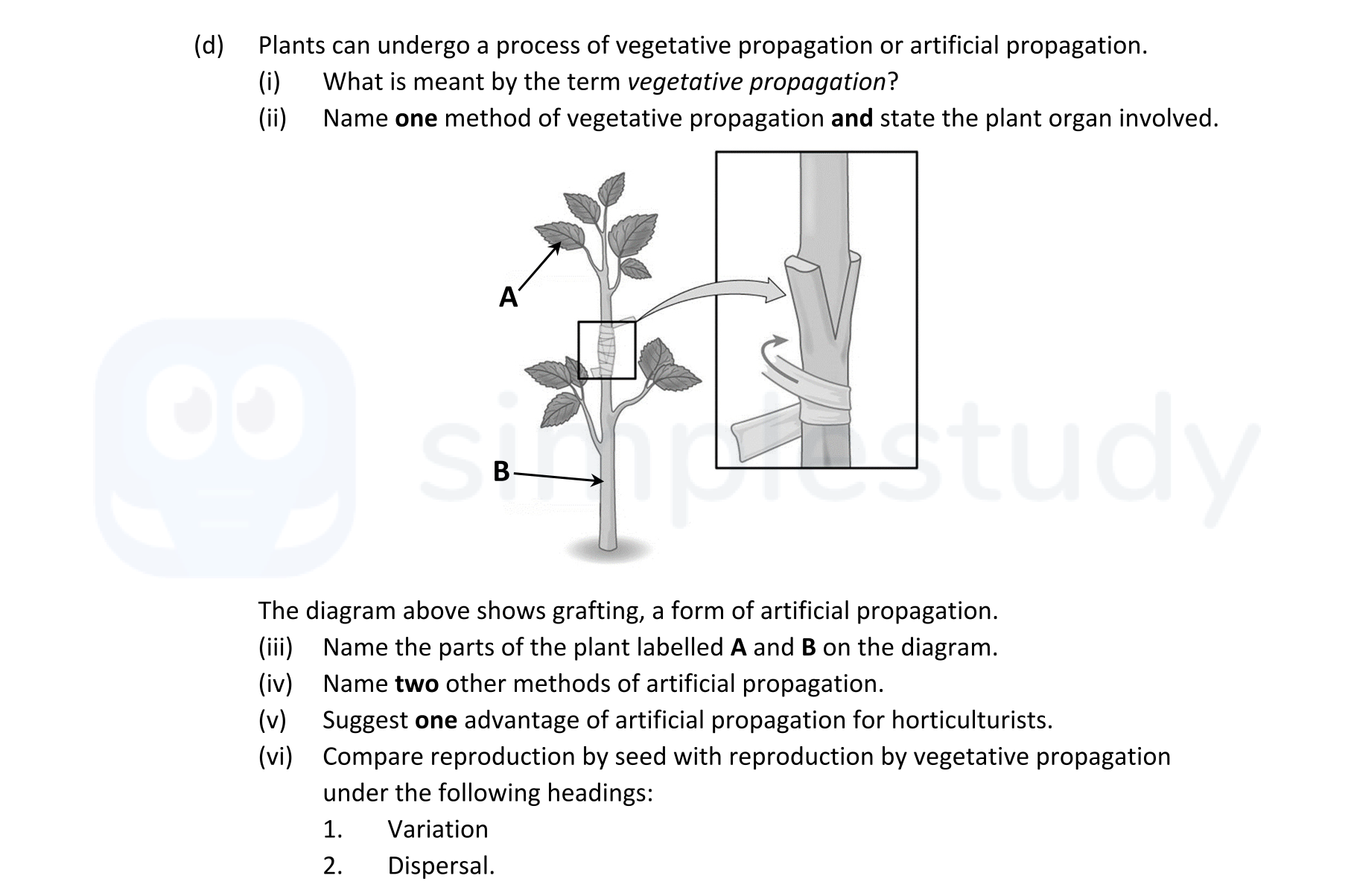 Plants-can-undergo-a-process-of-vegetative-propagation-or-artificial-propagation-Leaving Cert Biology-Question 16(d)-2022.png
