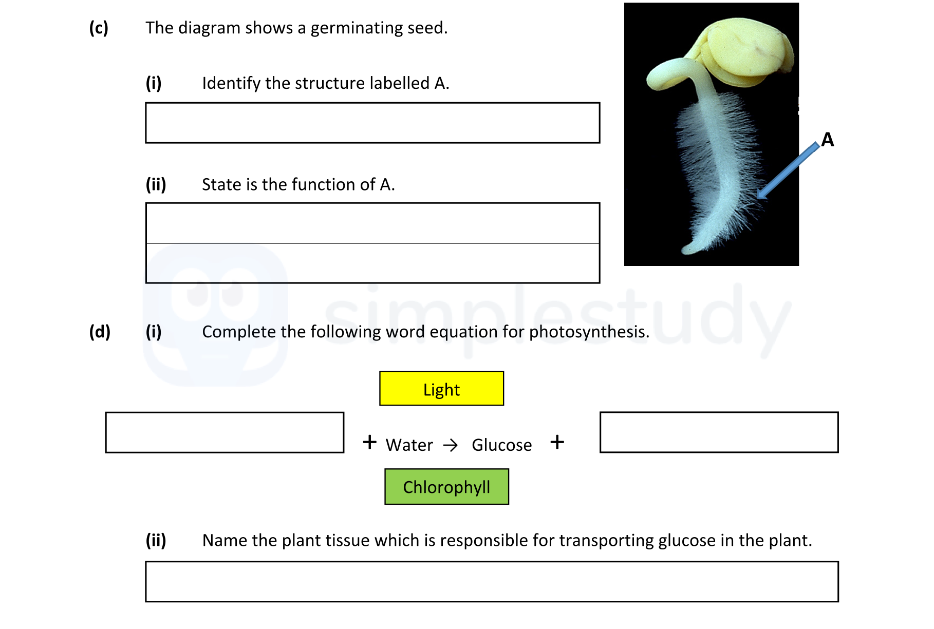 The-diagram-shows-a-germinating-seed-Leaving Cert Agricultural Science-Question c-2020.png