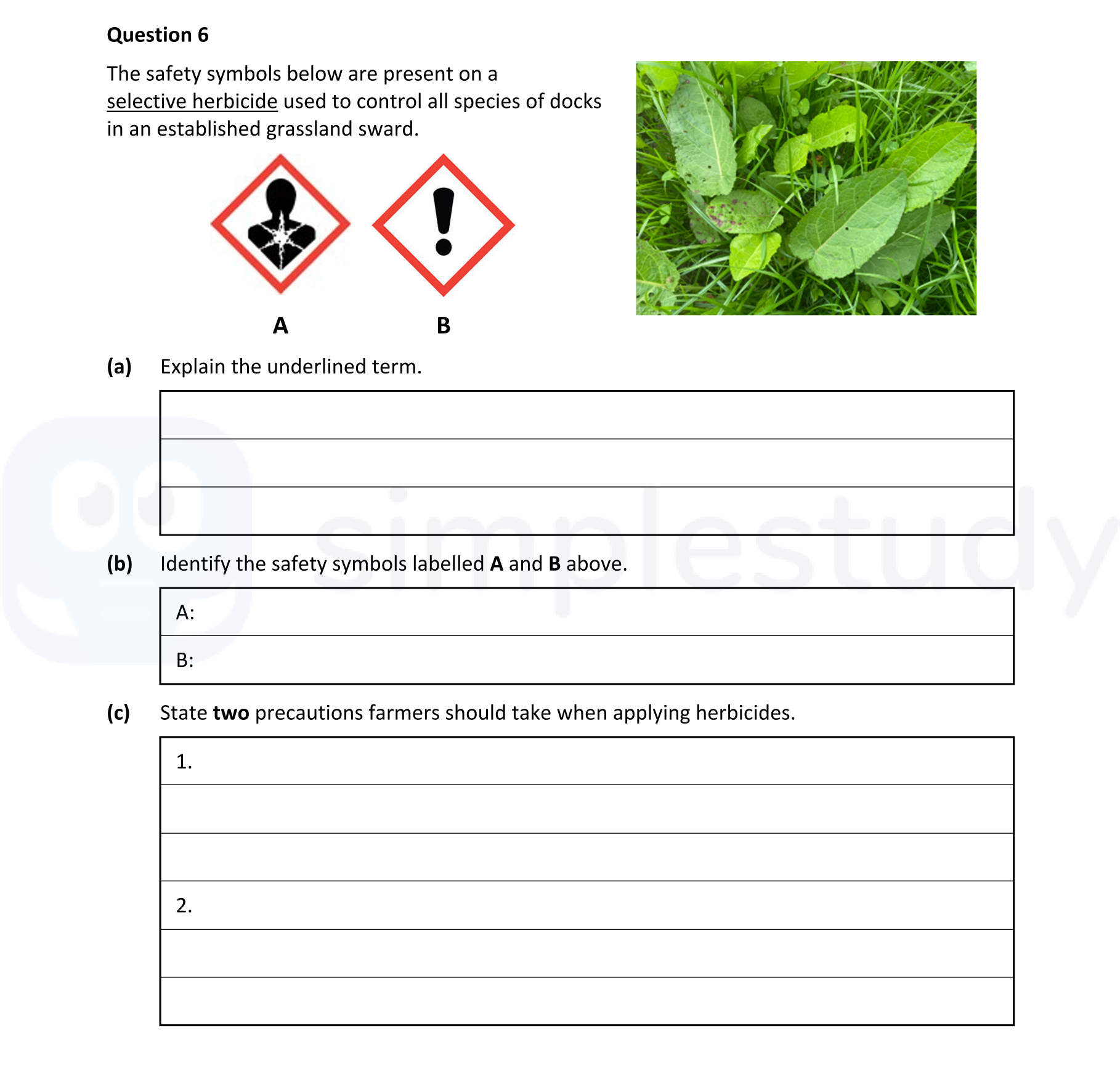The-safety-symbols-below-are-present-on-a-selective-herbicide-used-to-control-all-species-of-docks-in-an-established-grassland-sward-Leaving Cert Agricultural Science-Question 6-2022.png