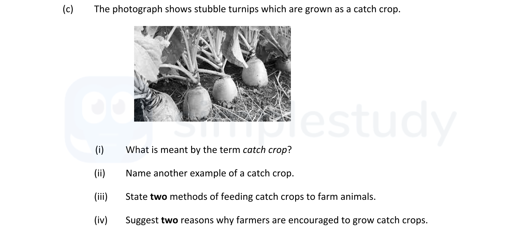 The-photograph-shows-stubble-turnips-which-are-grown-as-a-catch-crop-Leaving Cert Agricultural Science-Question 9(c)-2019.png