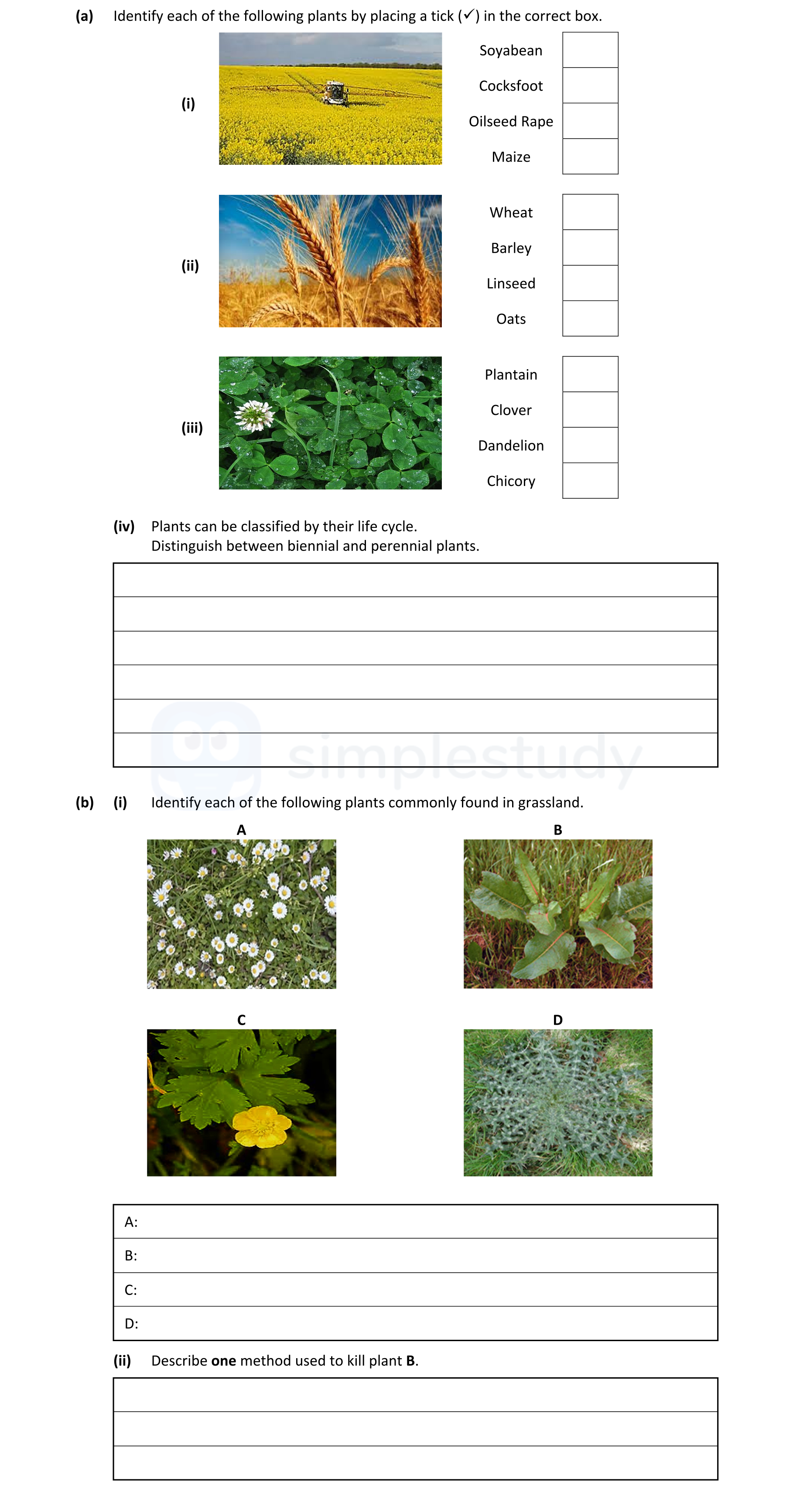 (a)-Identify-each-of-the-following-plants-by-placing-a-tick-(✓)-in-the-correct-box-Leaving Cert Agricultural Science-Question 1-2021.png