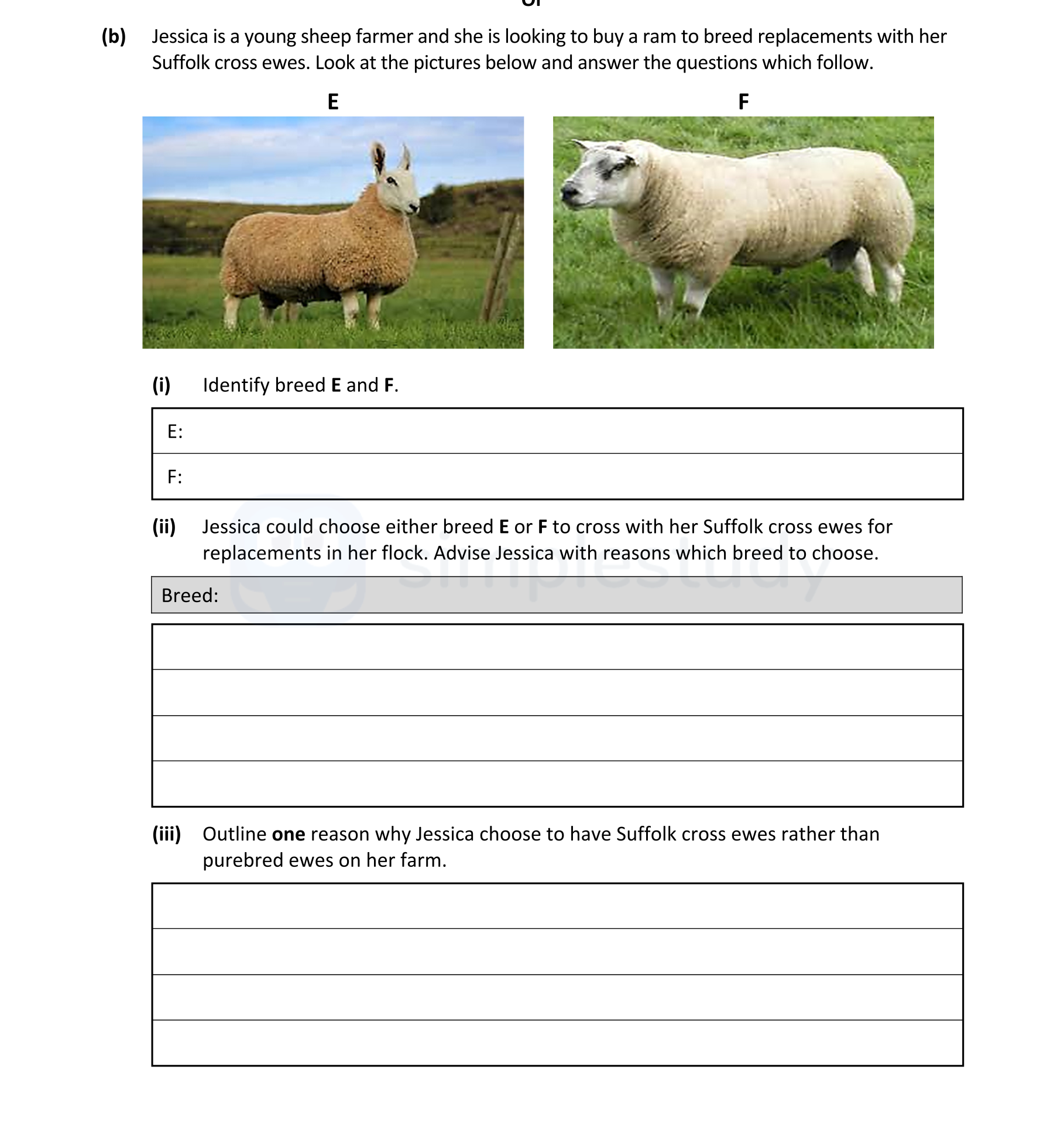 Jesscia-is-a-young-sheep-farmer-and-she-is-looking-to-buy-a-ram-to-breed-replacements-with-her-Suffolk-cross-ewes-Leaving Cert Agricultural Science-Question b-2022.png