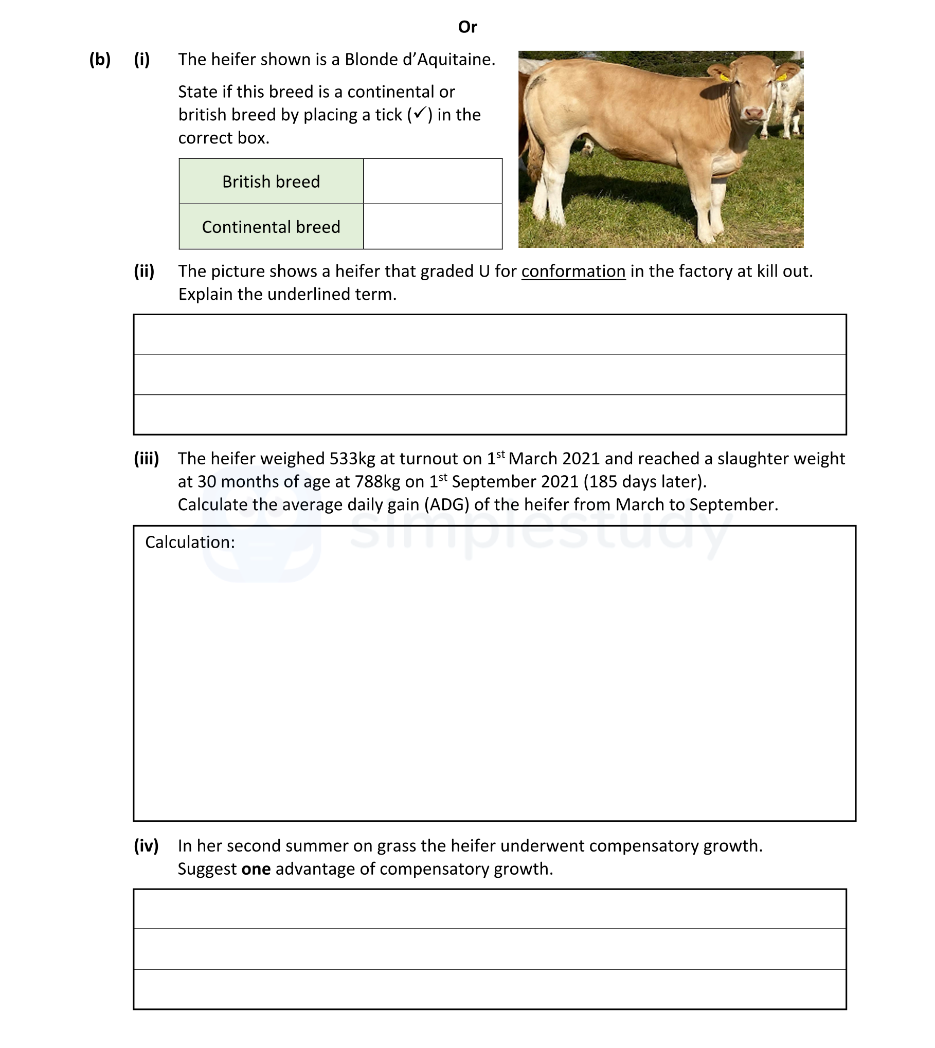 The-heifer-shown-is-a-Blonde-d'Aquitaine-Leaving Cert Agricultural Science-Question (b)-2022.png