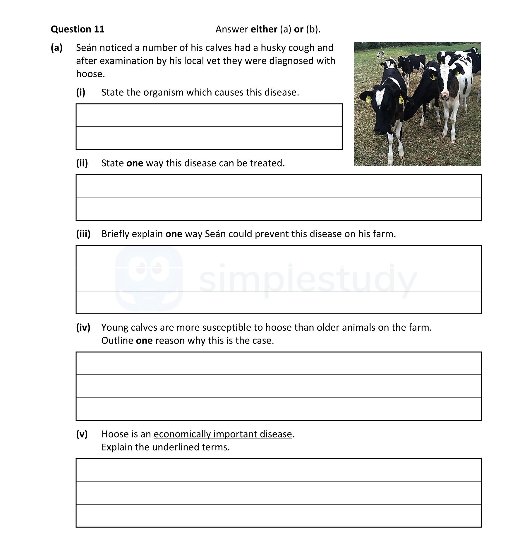 Seán-noticed-a-number-of-his-calves-had-a-husky-cough-and-after-examination-by-his-local-vet-they-were-diagnosed-with-hoose-Leaving Cert Agricultural Science-Question 11-2022.png