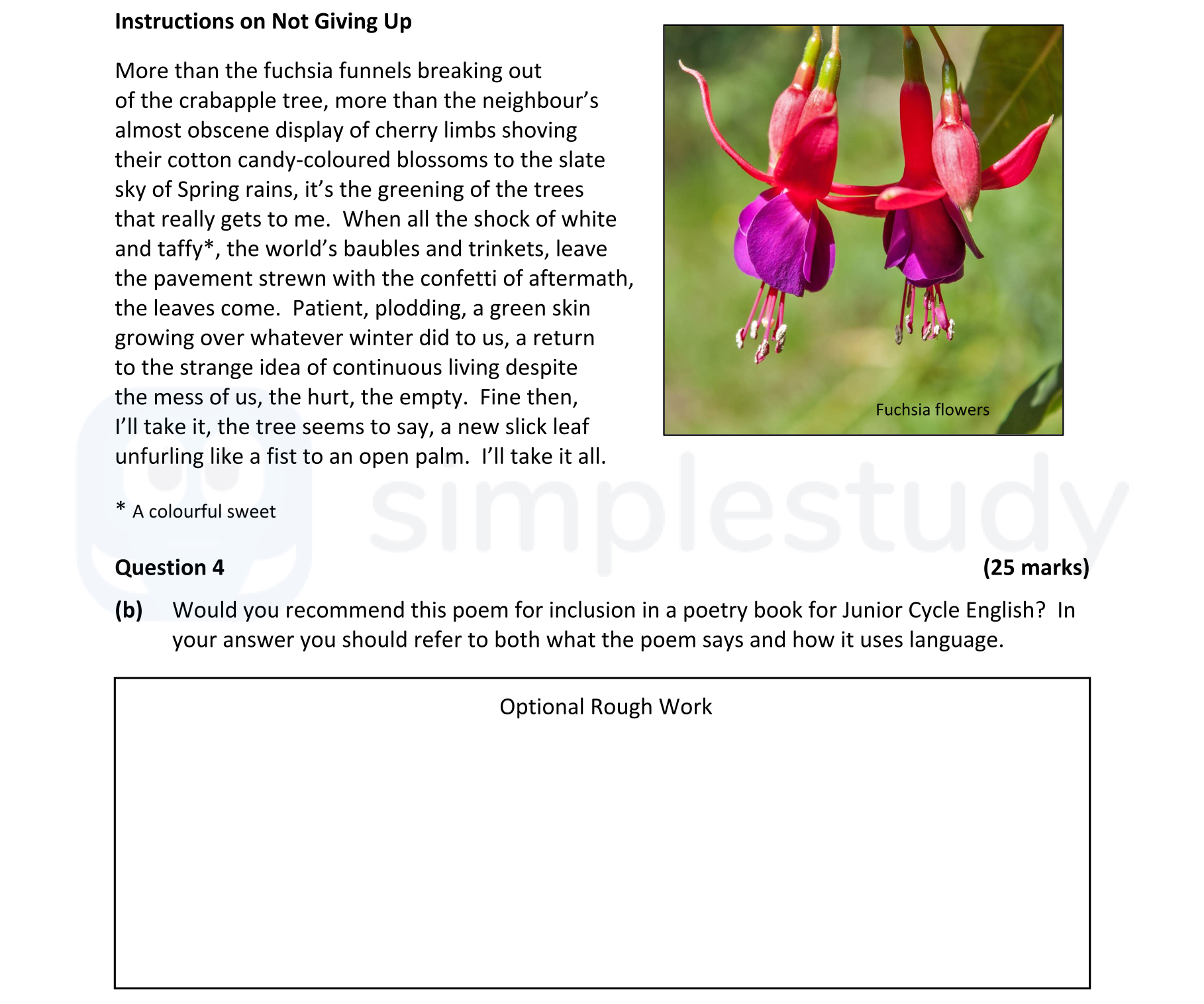 Would-you-recommend-this-poem-for-inclusion-in-a-poetry-book-for-Junior-Cycle-English-students?-In-your-answer-you-should-refer-to-both-what-the-poem-says-and-how-it-uses-language.-Junior Cycle English-Question 4(b)-2022.png