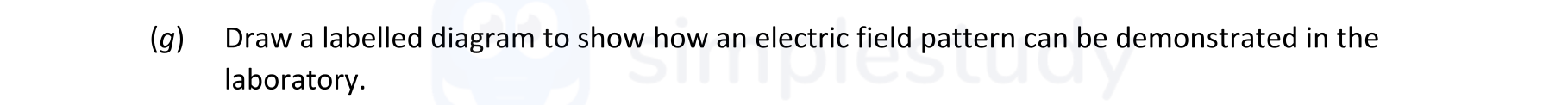 Draw-a-labelled-diagram-to-show-how-an-electric-field-pattern-can-be-demonstrated-in-the-laboratory.-Leaving Cert Physics-Question (g)-2020.png