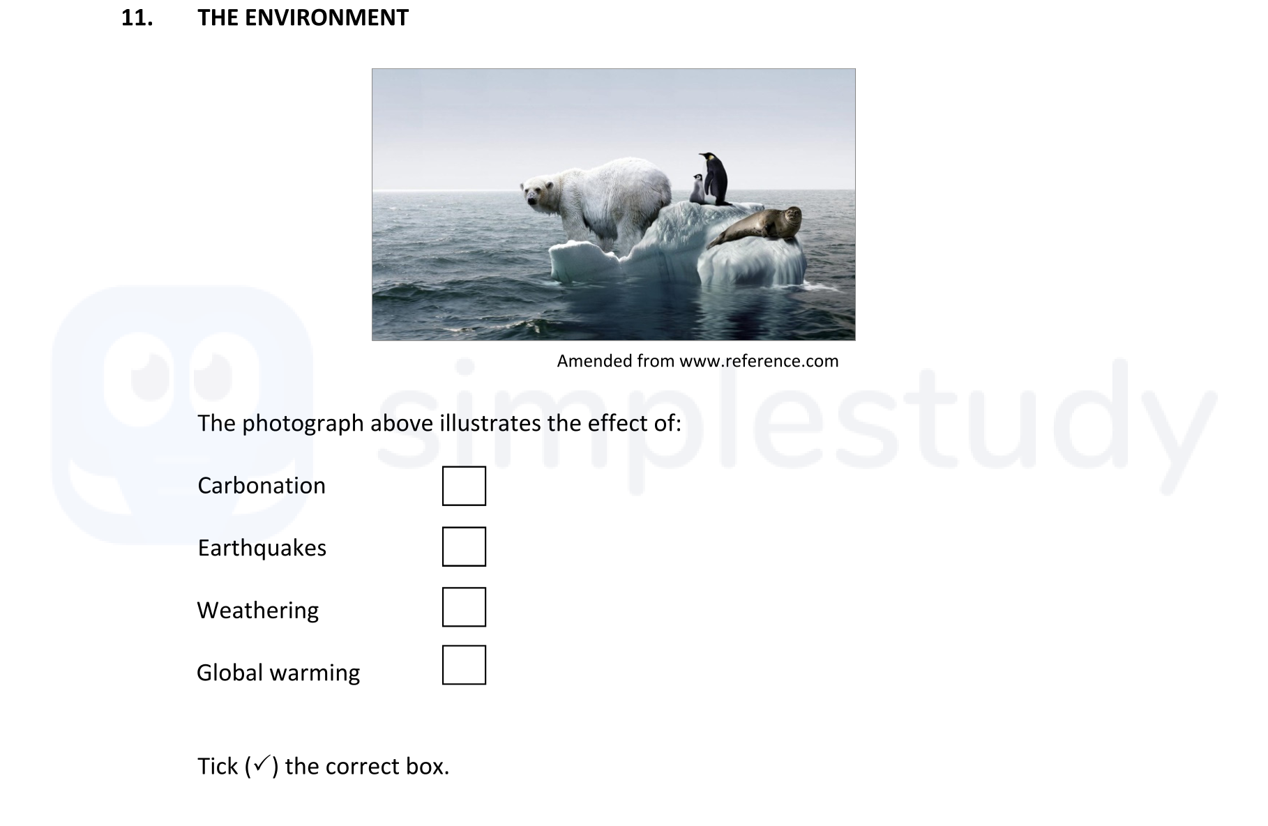 THE-ENVIRONMENT--The-photograph-above-illustrates-the-effect-of:--Carbonation--Earthquakes--Weathering--Global-warming---Tick-(✓)-the-correct-box.-Junior Cycle Geography-Question 11-2018.png