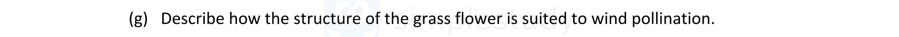 Describe-how-the-structure-of-the-grass-flower-is-suited-to-wind-pollination.-Leaving Cert Agricultural Science-Question 6-2020.png