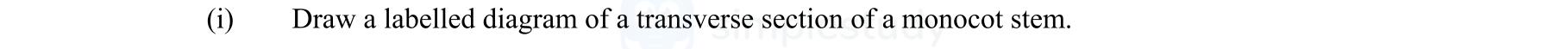 Draw-a-labelled-diagram-of-a-transverse-section-of-a-monocot-stem.-Leaving Cert Agricultural Science-Question (i)-2009.png