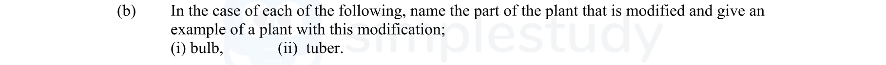 In-the-case-of-each-of-the-following,-name-the-part-of-the-plant-that-is-modified-and-give-an-example-of-a-plant-with-this-modification:-(i)-bulb-Leaving Cert Agricultural Science-Question b-2008.png