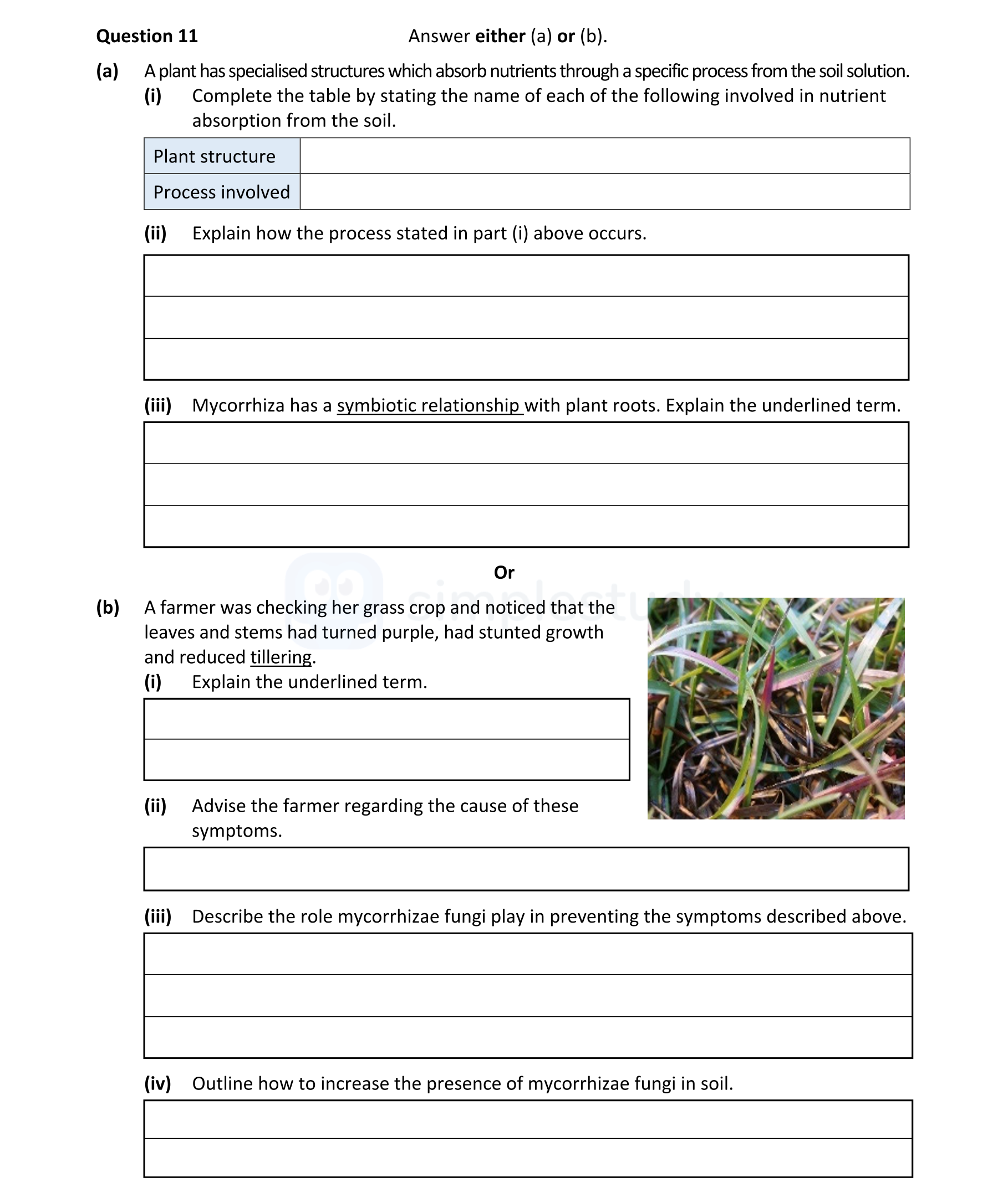 A-plant-has-specialised-structures-which-absorb-nutrients-through-a-specific-process-from-the-soil-solution-Leaving Cert Agricultural Science-Question 11-2022.png