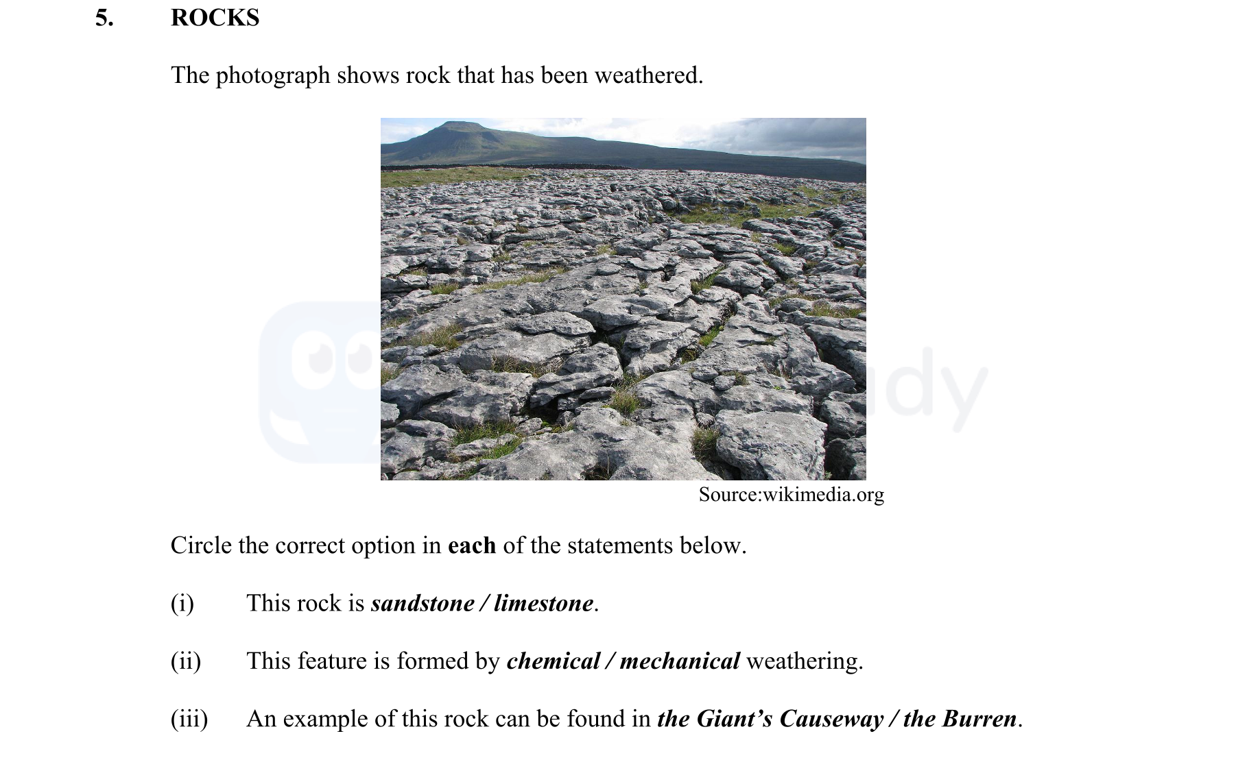 ROCKS--The-photograph-shows-rock-that-has-been-weathered-Junior Cycle Geography-Question 5-2010.png