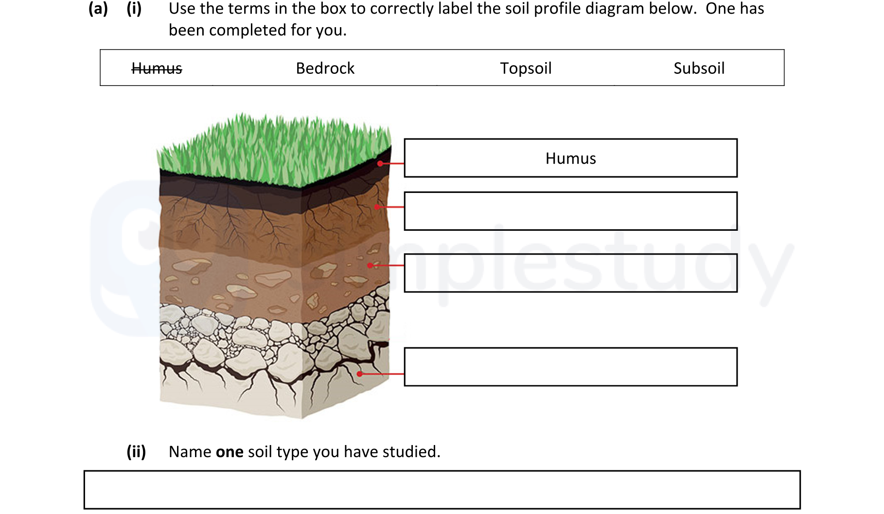 Use-the-terms-in-the-box-to-correctly-label-the-soil-profile-diagram-below-Junior Cycle Geography-Question a-2022.png