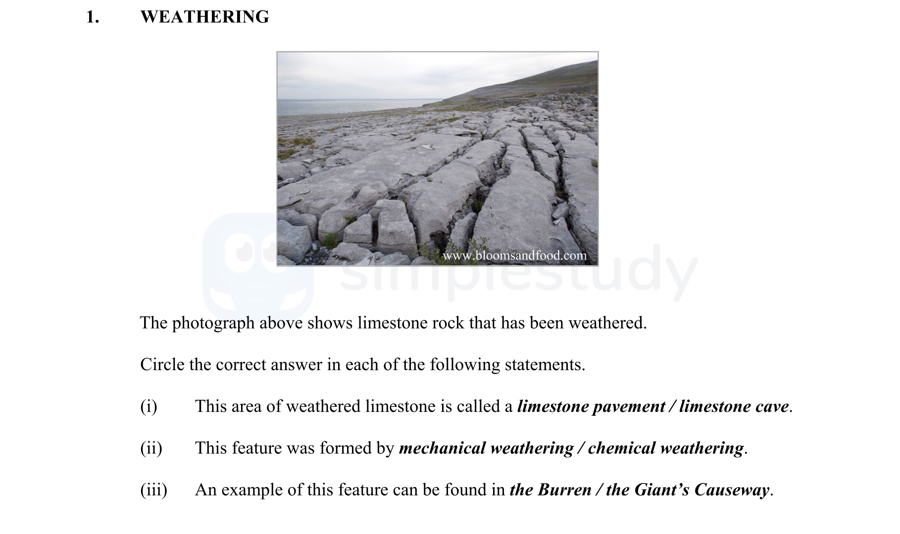 WEATHERING--The-photograph-above-shows-limestone-rock-that-has-been-weathered-Junior Cycle Geography-Question 1-2015.png