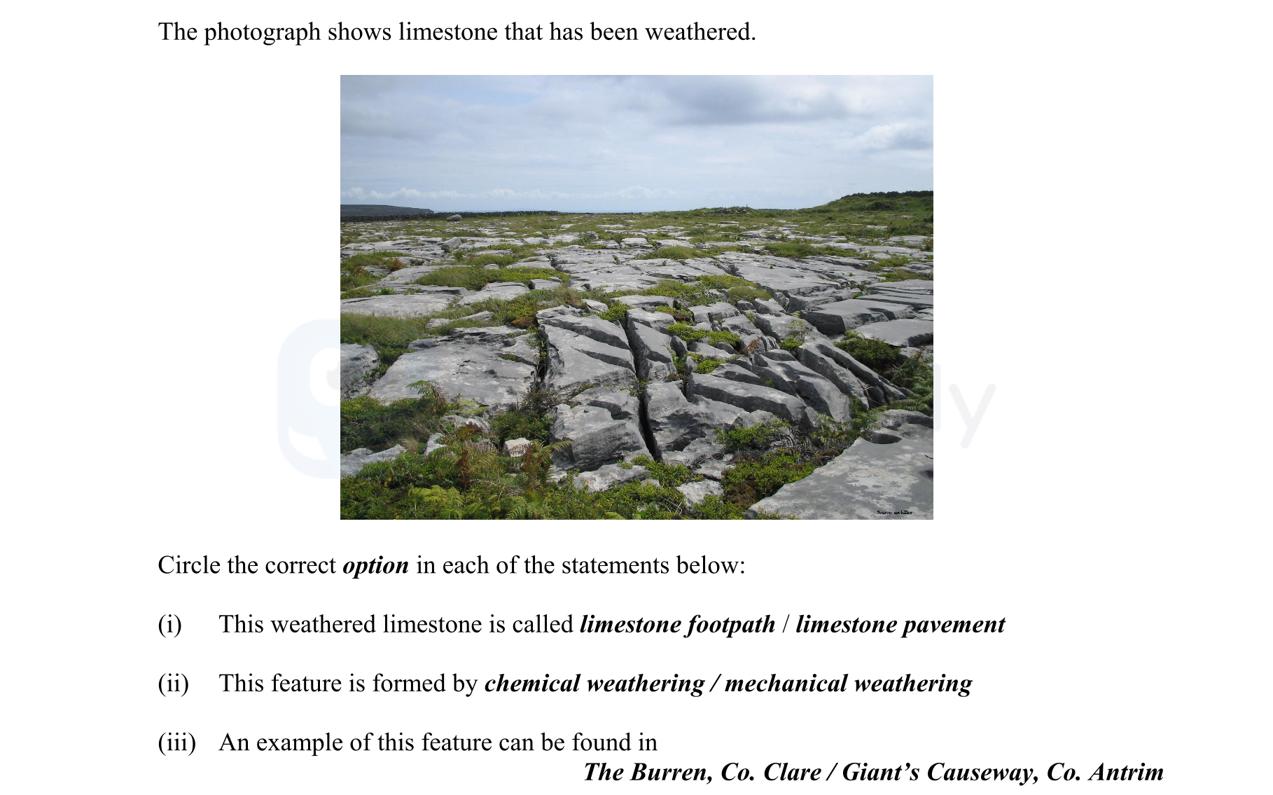 The-photograph-shows-limestone-that-has-been-weathered-Junior Cycle Geography-Question 5-2008.png
