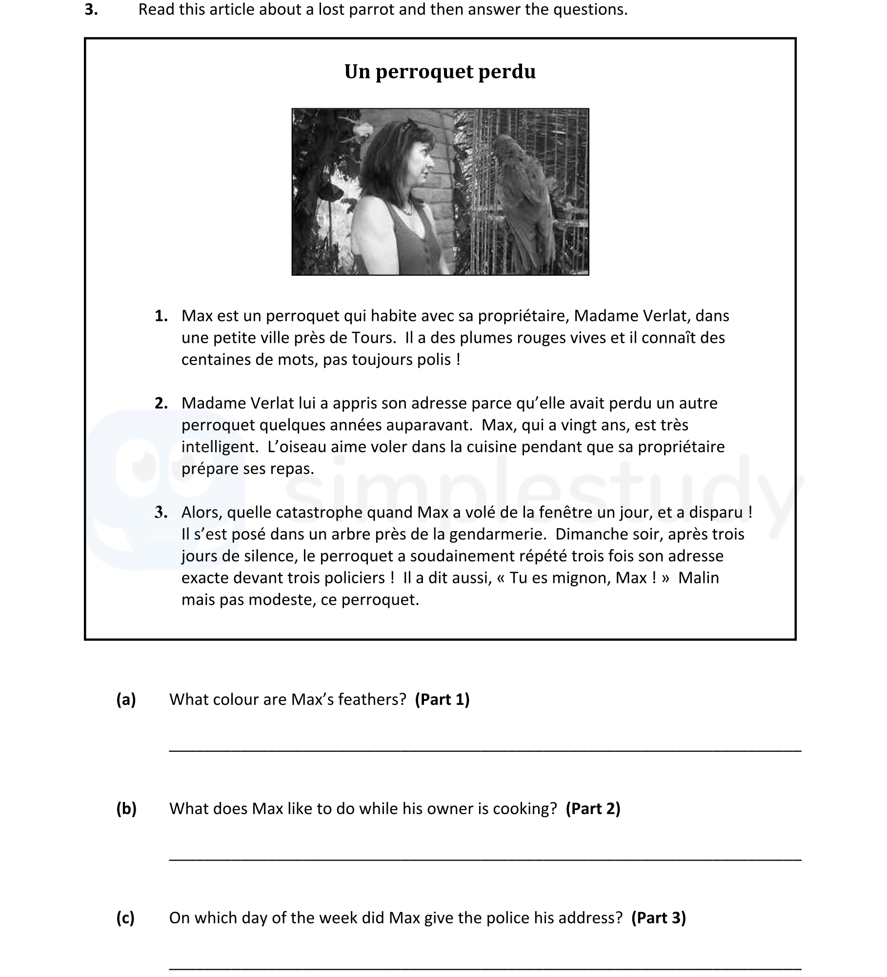 Read-this-article-about-a-lost-parrot-and-then-answer-the-questions-Junior Cycle French-Question 3-2018.png