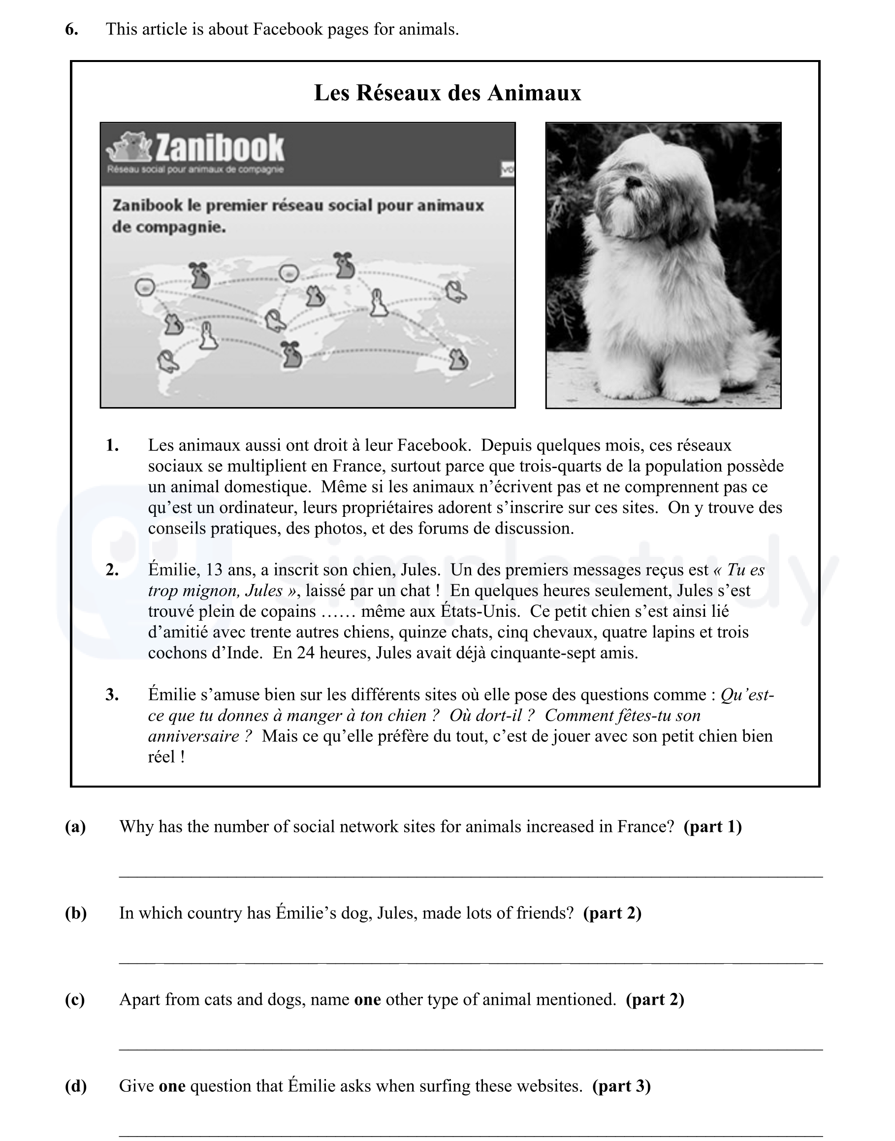 This-article-is-about-Facebook-pages-for-animals-Junior Cycle French-Question 6-2011.png