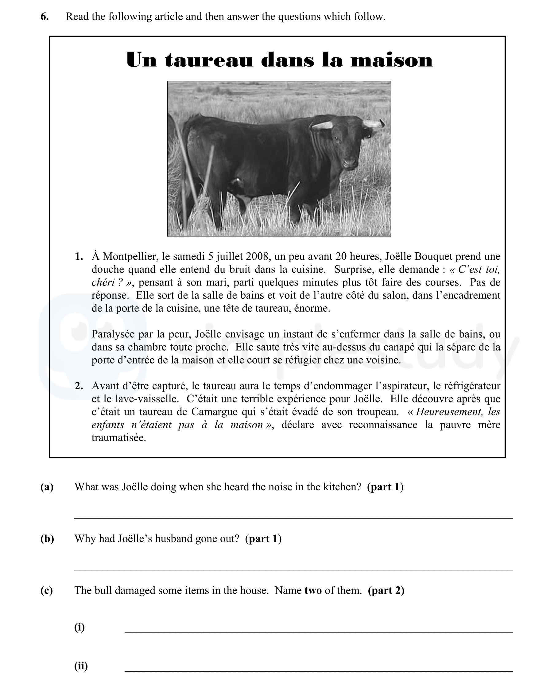 Read-the-following-article-and-then-answer-the-questions-which-follow-Junior Cycle French-Question 6-2009.png