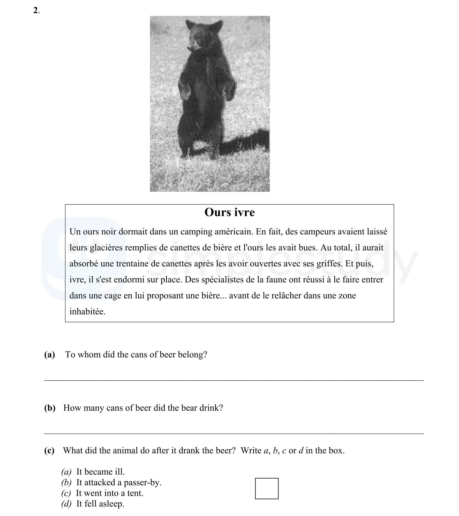 Ours-ivre--Un-ours-noir-dormait-dans-un-camping-américain-Junior Cycle French-Question 2-2005.png