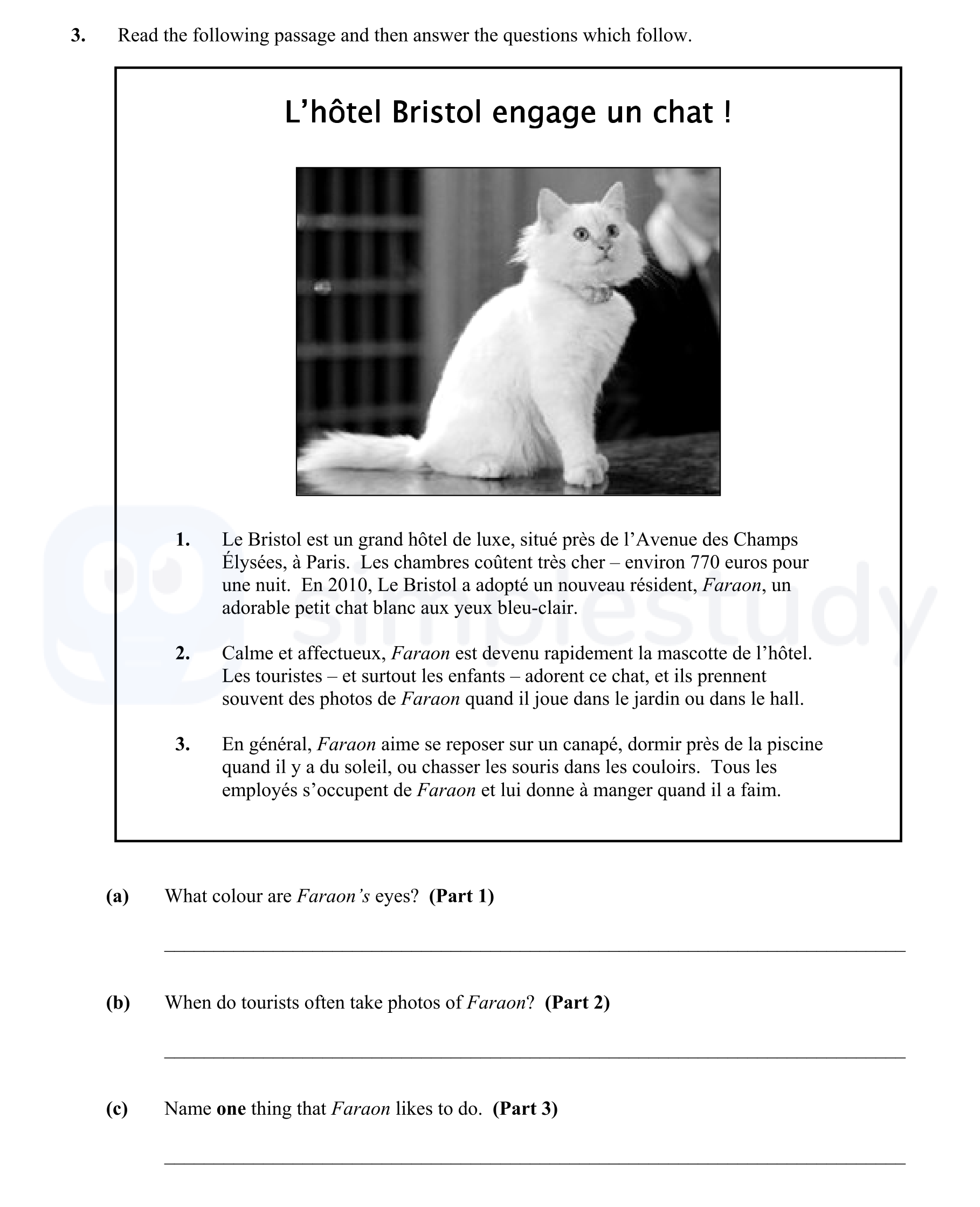 L’hôtel-Bristol-engage-un-chat-!--Le-Bristol-est-un-grand-hôtel-de-luxe,-situé-près-de-l’Avenue-des-Champs-Élysées,-à-Paris-Junior Cycle French-Question 3-2013.png