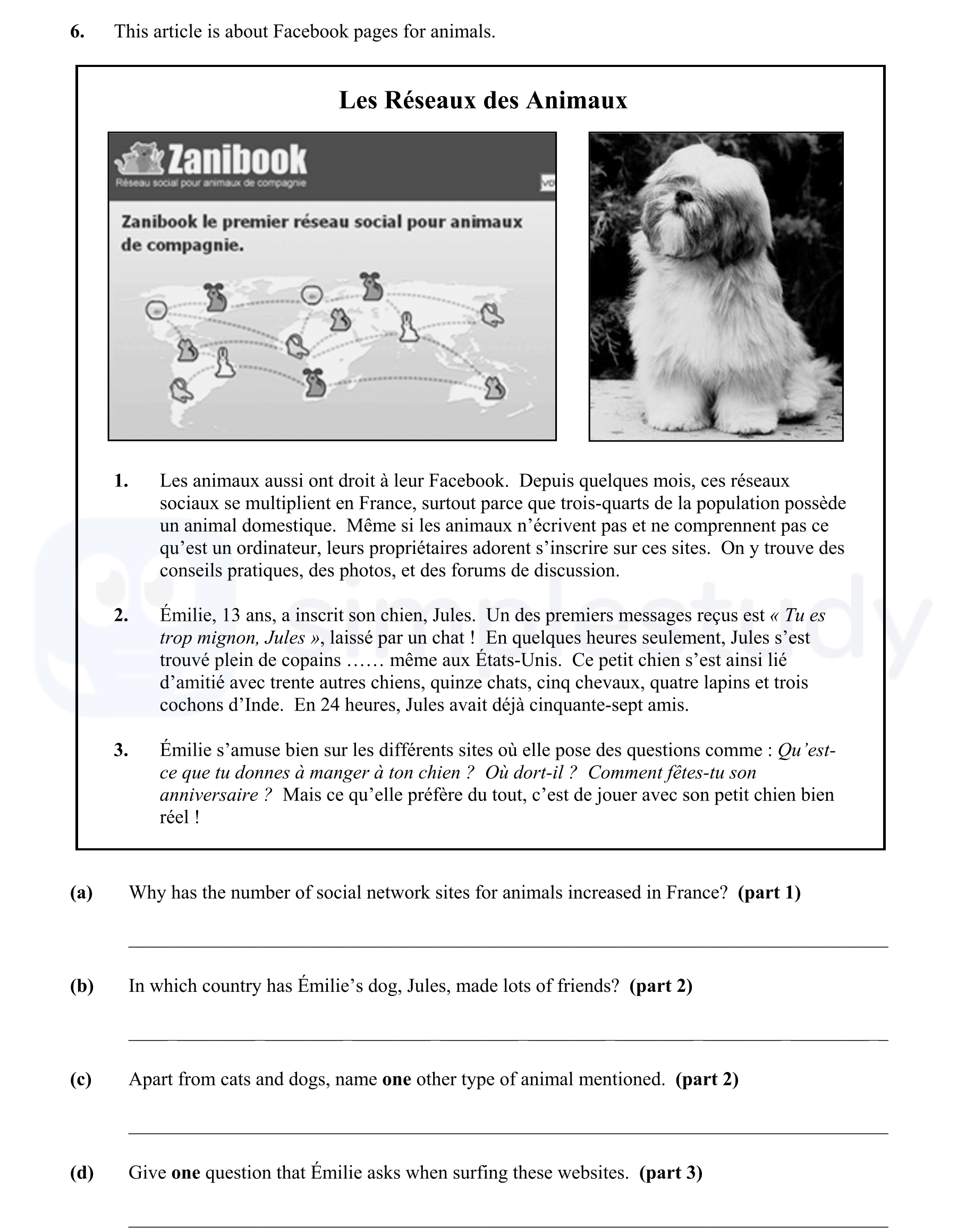 This-article-is-about-Facebook-pages-for-animals-Junior Cycle French-Question 6-2011.png