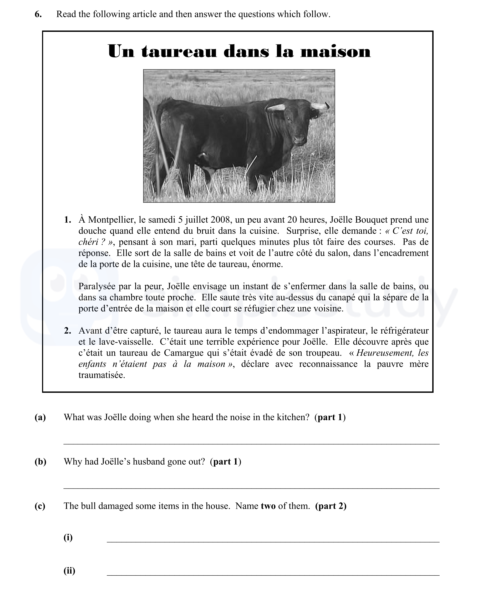 Read-the-following-article-and-then-answer-the-questions-which-follow-Junior Cycle French-Question 6-2009.png
