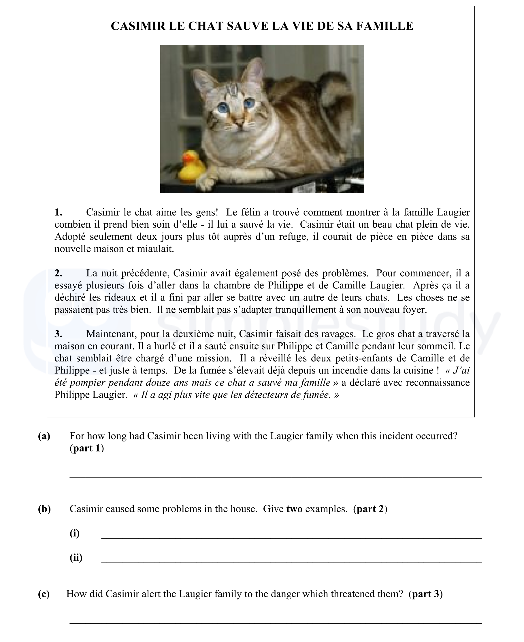 Casimir-le-chat-aime-les-gens!-Le-félin-a-trouvé-comment-montrer-à-la-famille-Lauger-combien-il-prend-bien-soin-d'elle---il-lui-a-sauvé-la-vie-Junior Cycle French-Question 1-2007.png