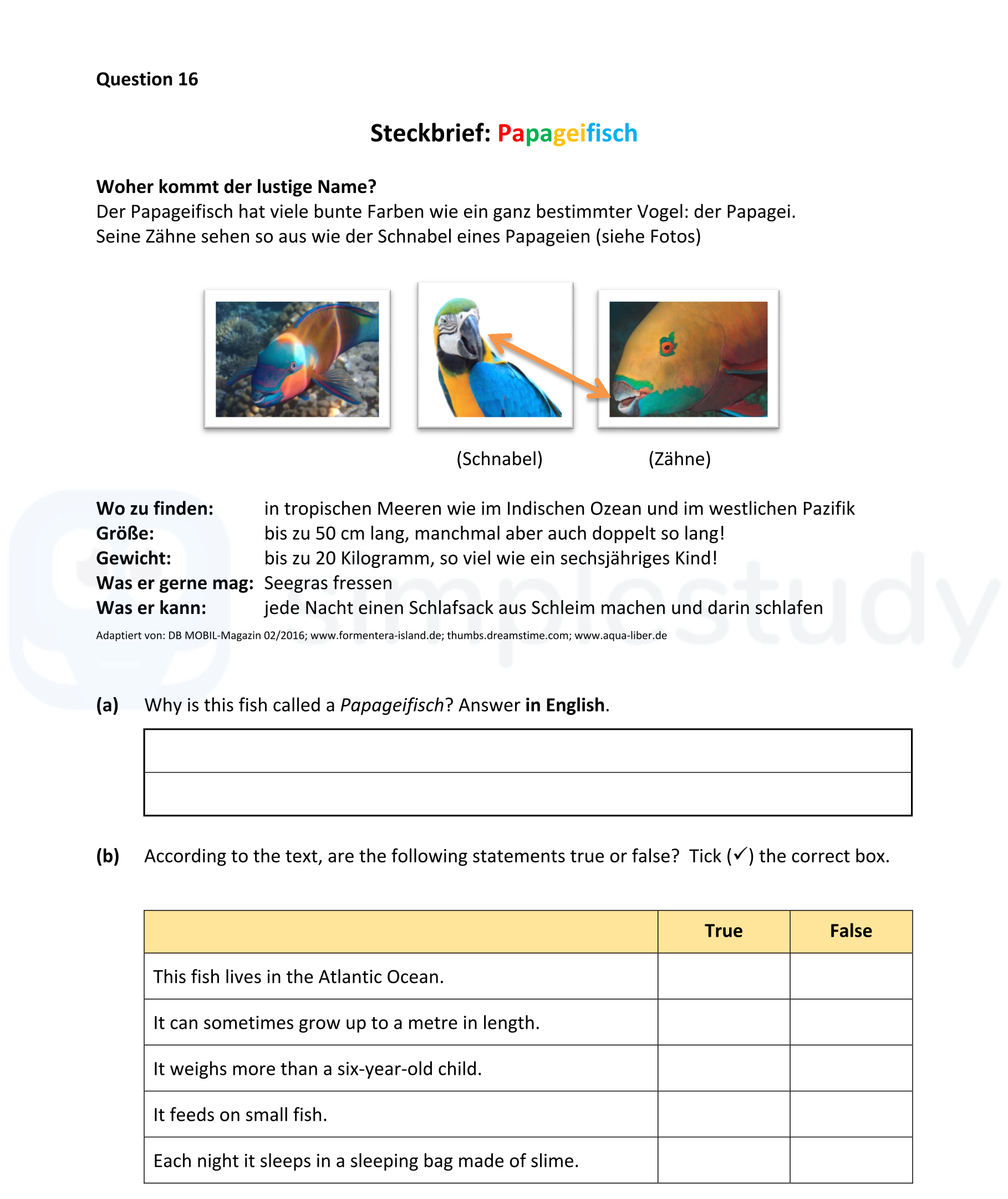 Steckbrief:-Papageifisch--Woher-kommt-der-lustige-Name?-Der-Papageifisch-hat-viele-bunte-Farben-wie-ein-ganz-bestimmter-Vogel:-der-Papagei-Junior Cycle German-Question 16-2022.png
