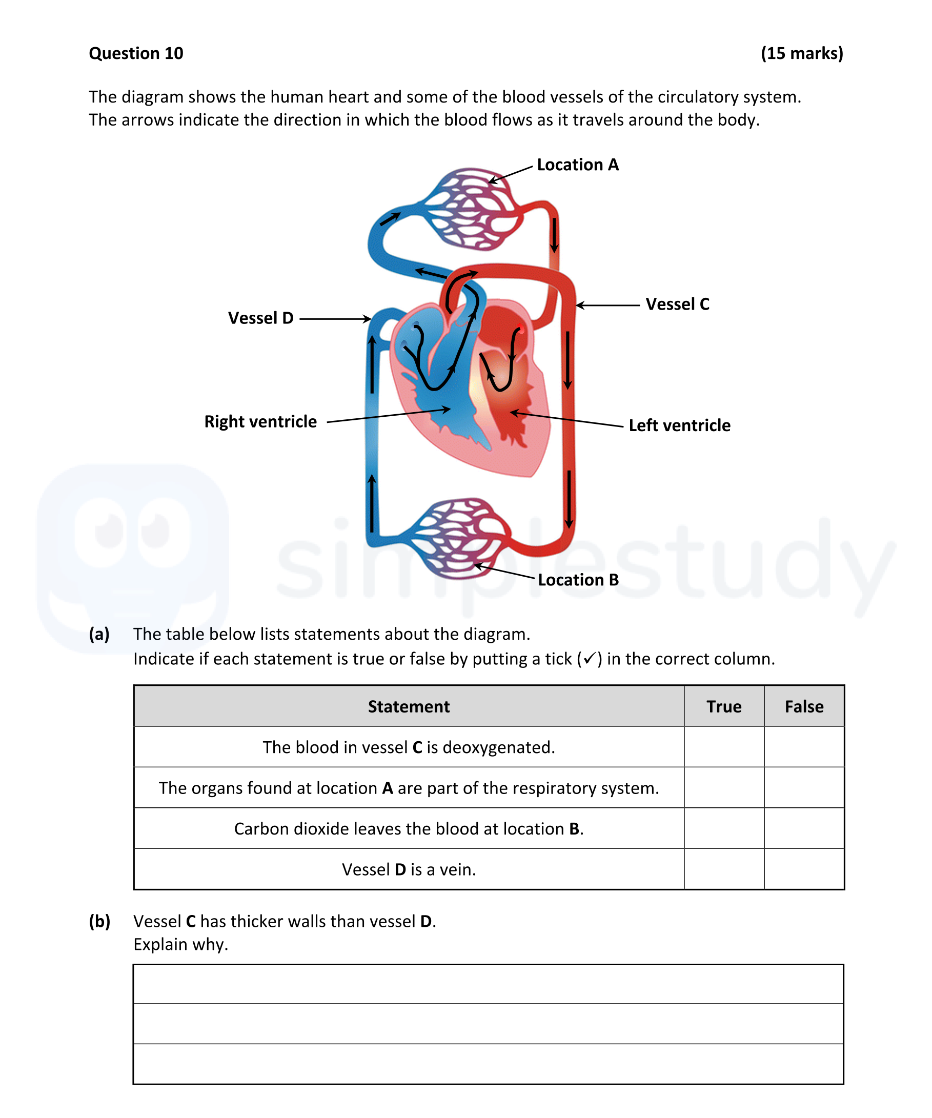 The-diagram-shows-the-human-heart-and-some-of-the-blood-vessels-of-the-circulatory-system-Junior Cycle Science-Question 10-2022.png