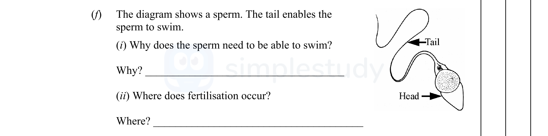 The-diagram-shows-a-sperm-Junior Cycle Science-Question f-2009.png