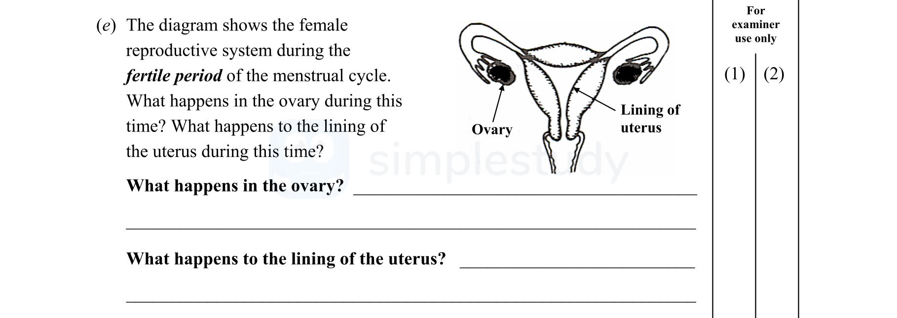 The-diagram-shows-the-female-reproductive-system-during-the-fertile-period-of-the-menstrual-cycle-Junior Cycle Science-Question e-2006.png